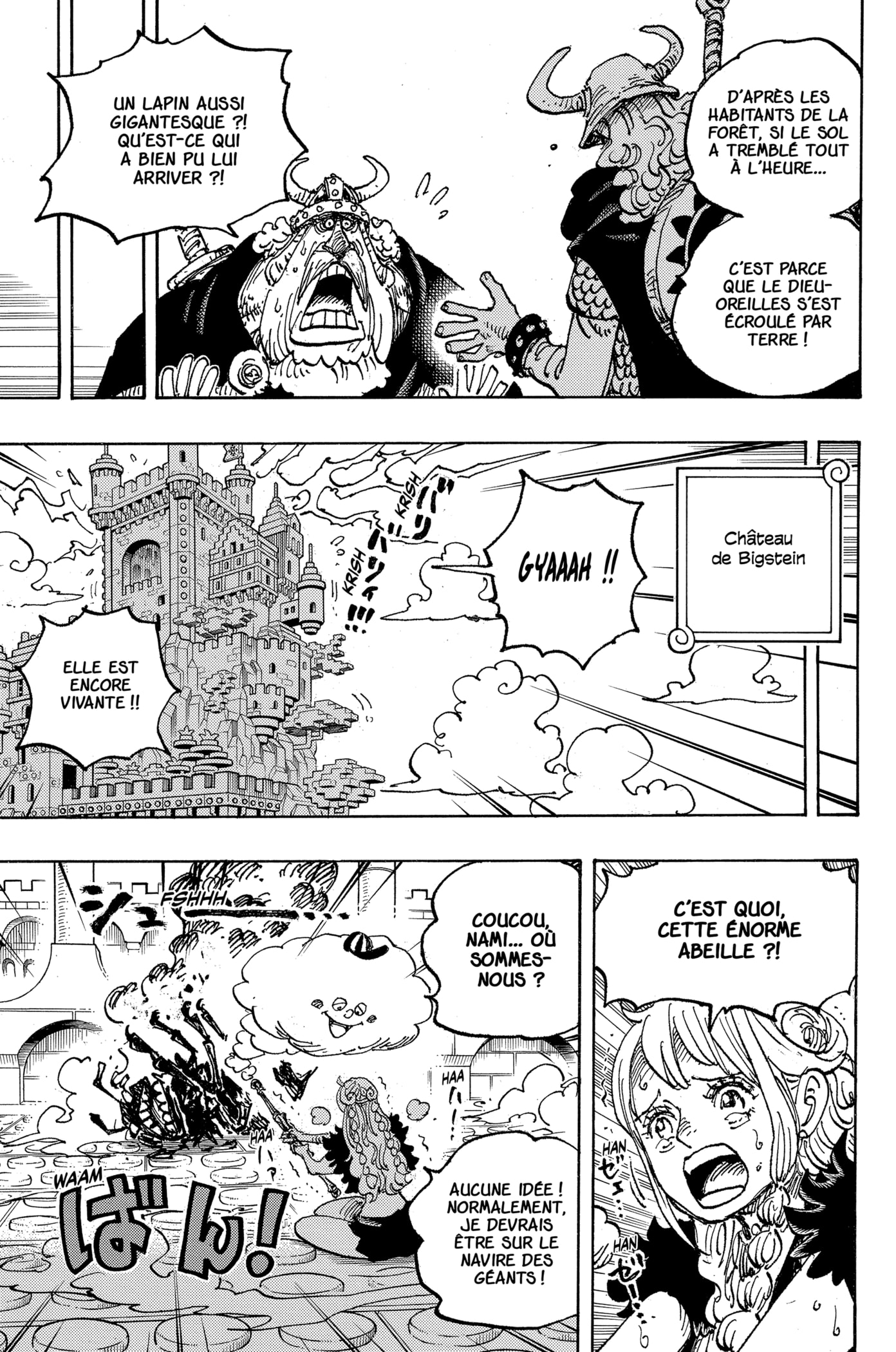 One Piece Chapitre 1127 - Page 3