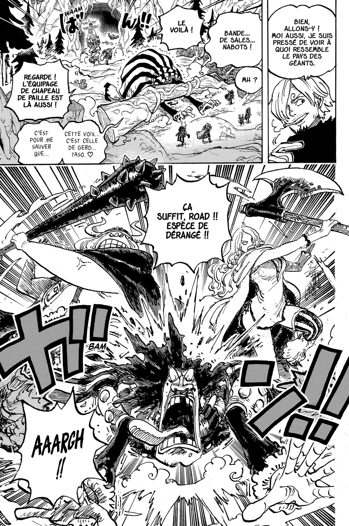 One Piece Chapitre 1132 - Page 10