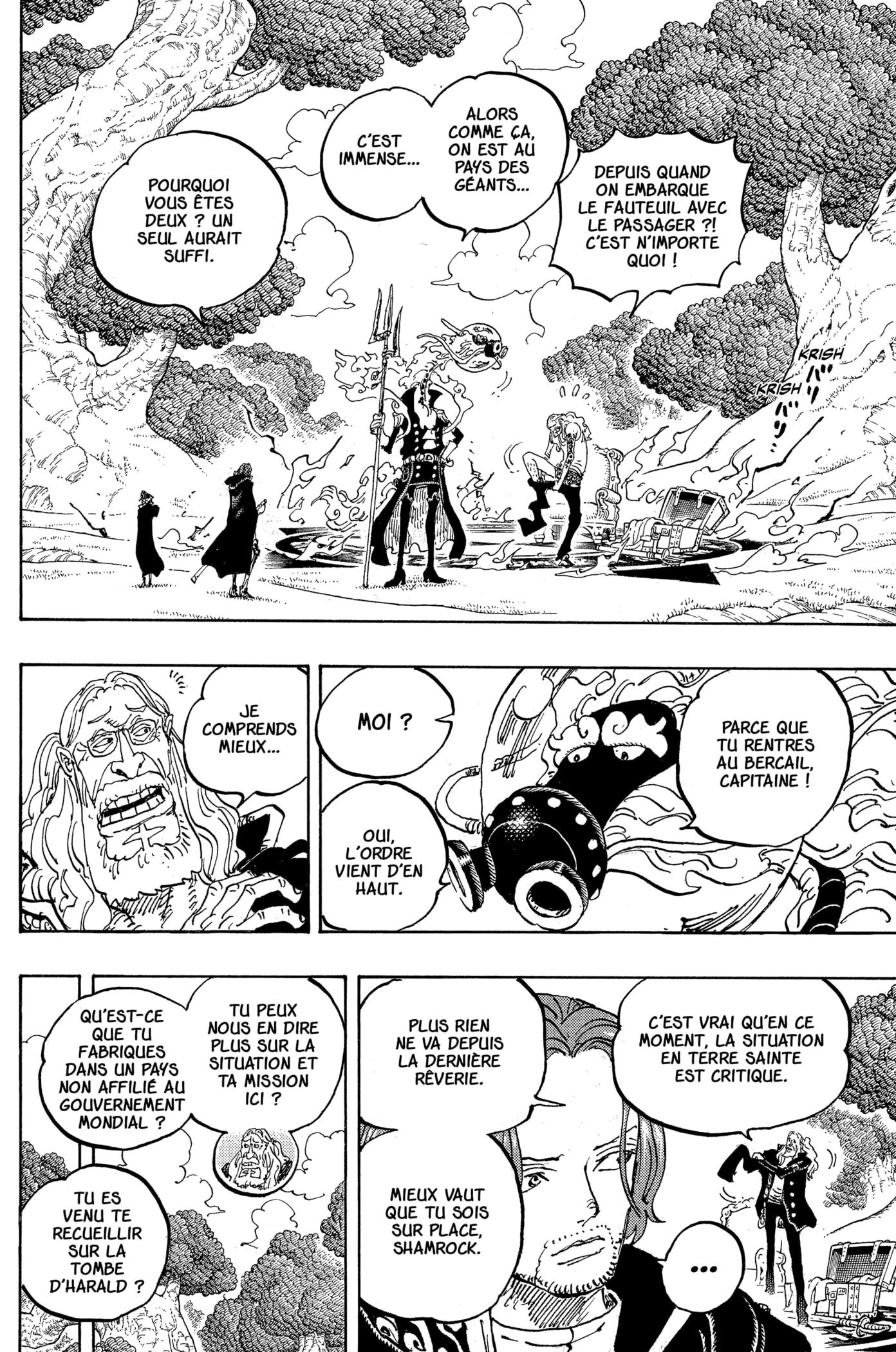 One Piece Chapitre 1140 - Page 14