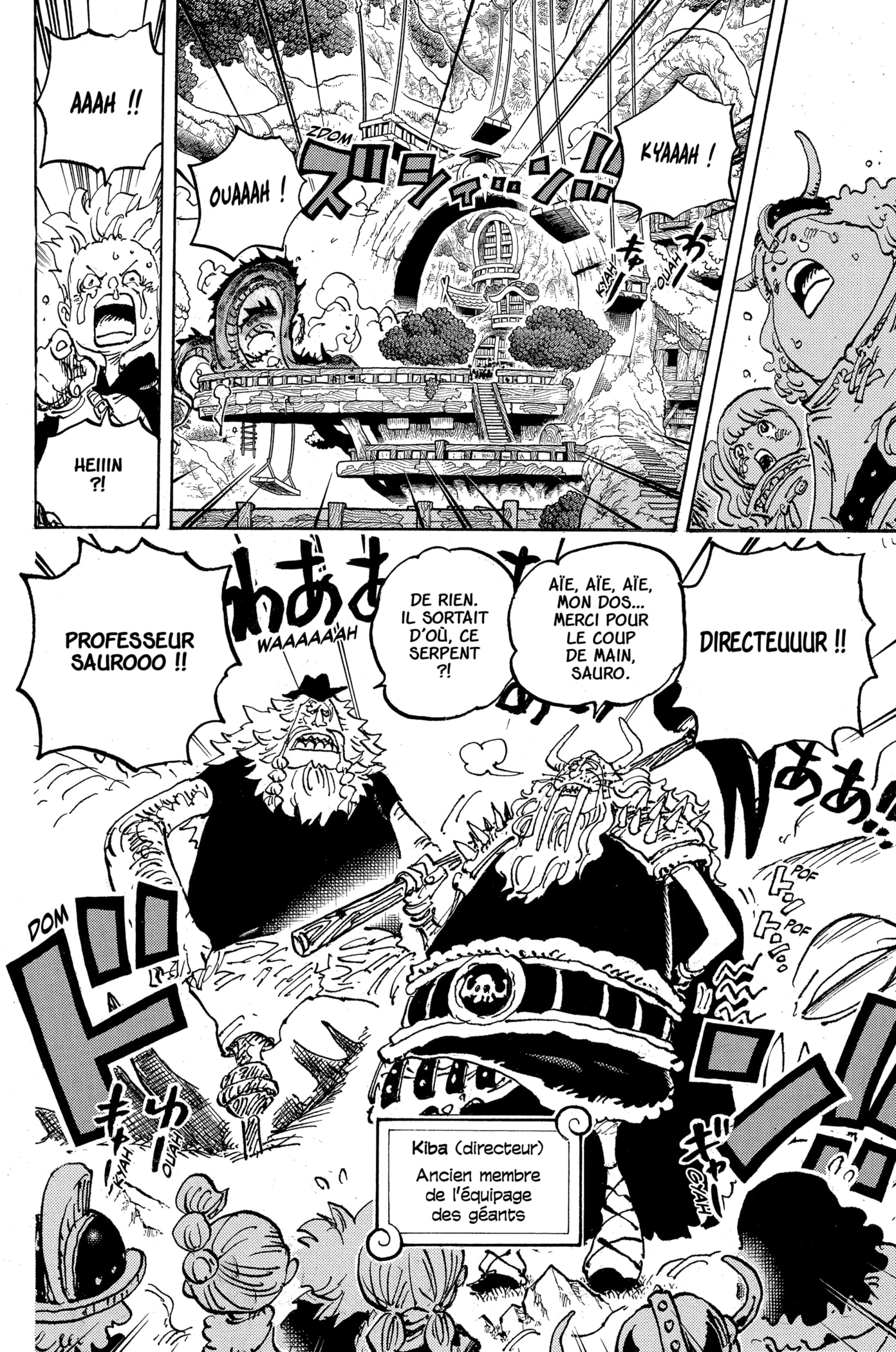 One Piece Chapitre 1142 - Page 5