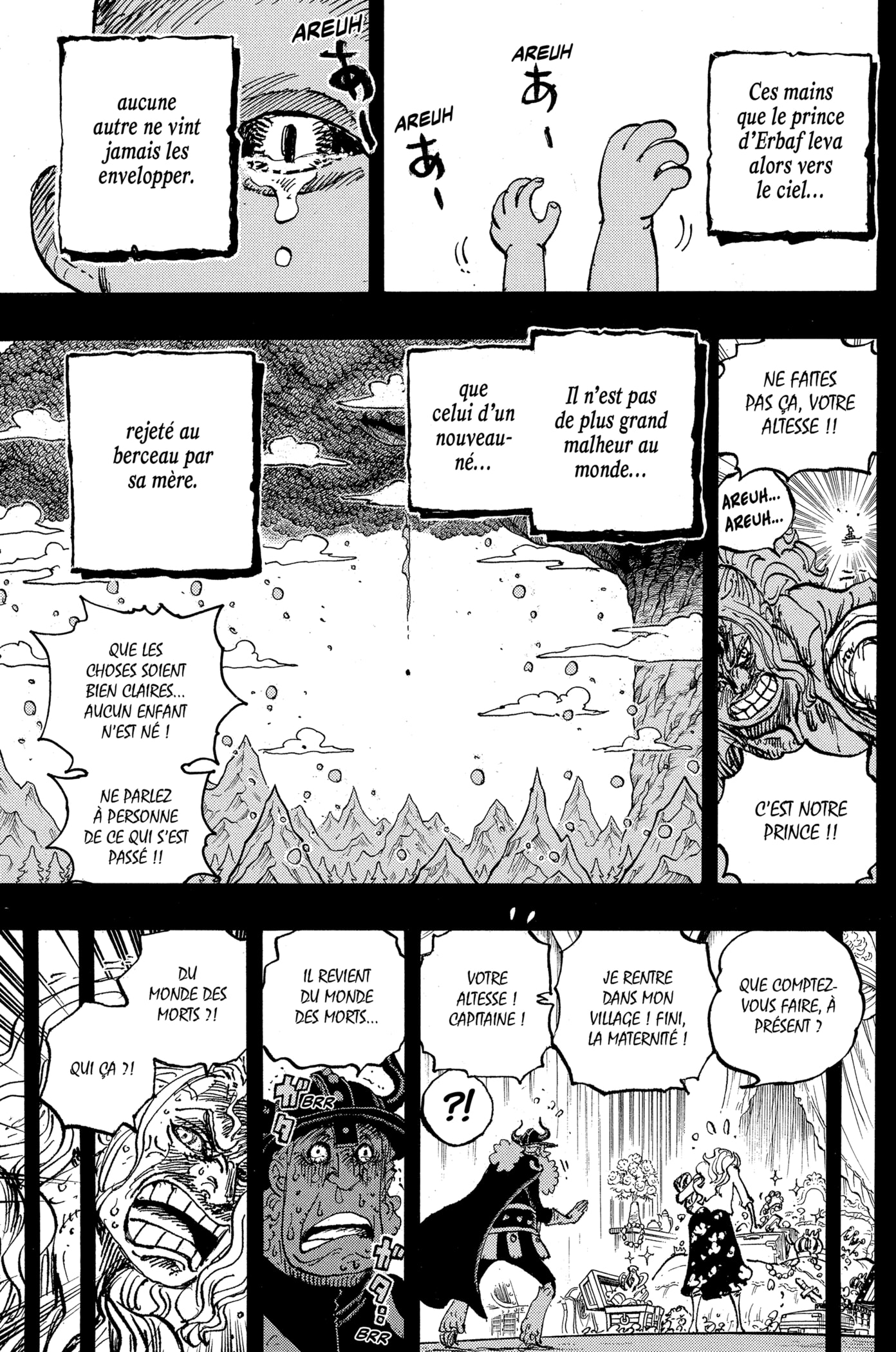 One Piece Chapitre 1153 - Page 15