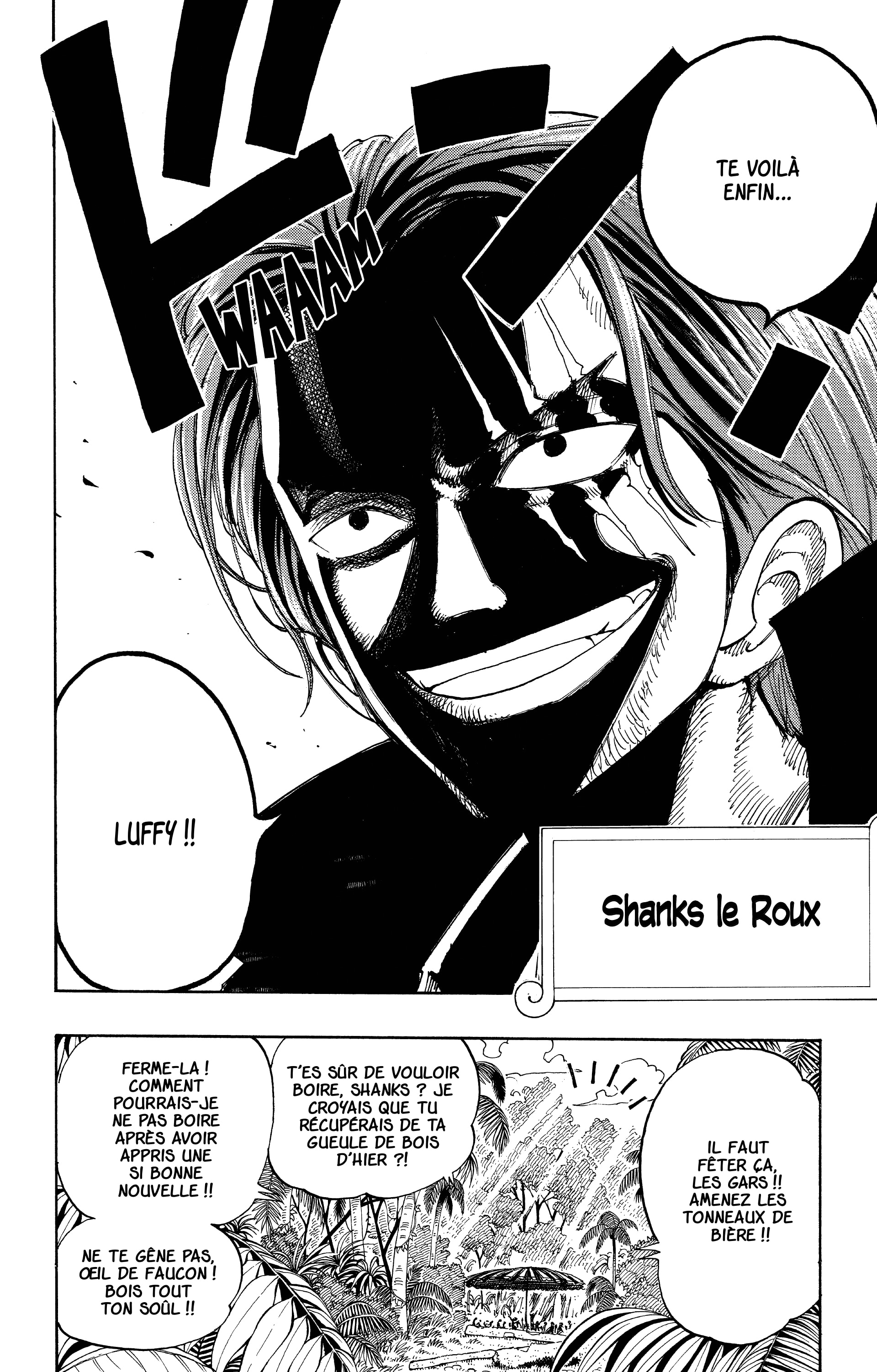 One Piece Chapitre 96 - Page 17