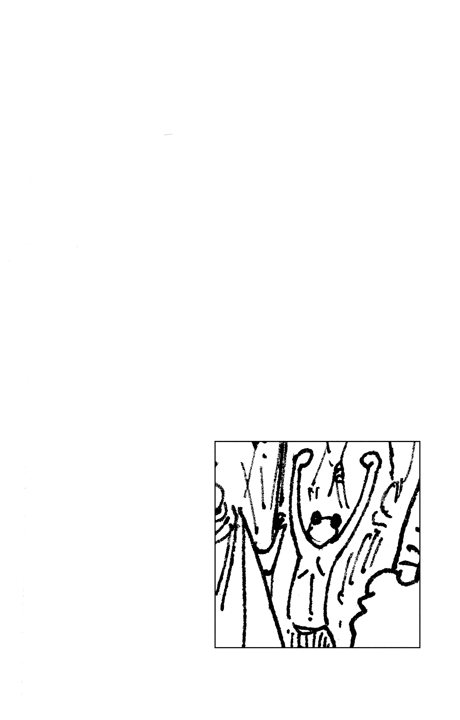 One Piece Chapitre 201 - Page 2