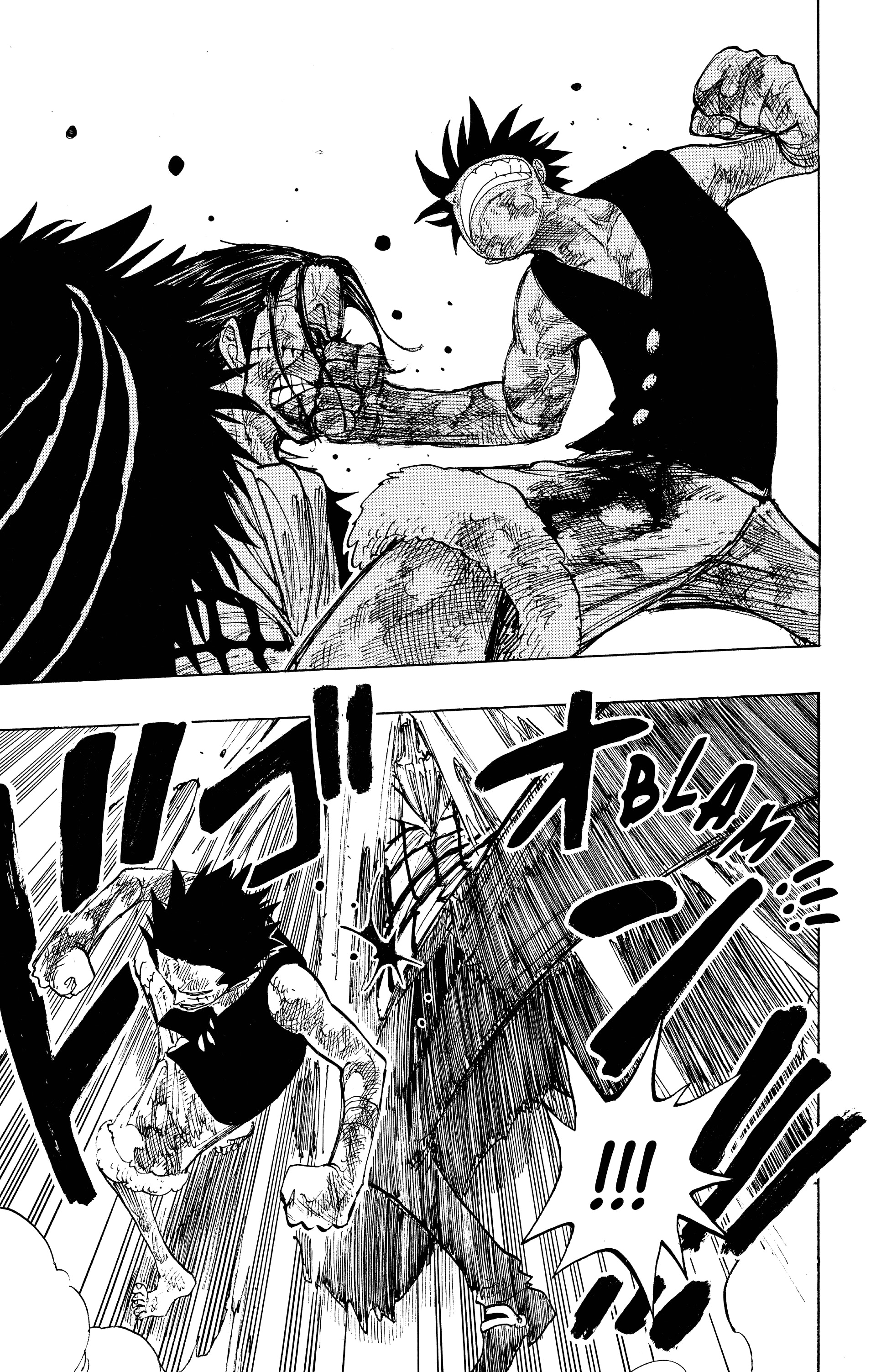 One Piece Chapitre 204 - Page 13