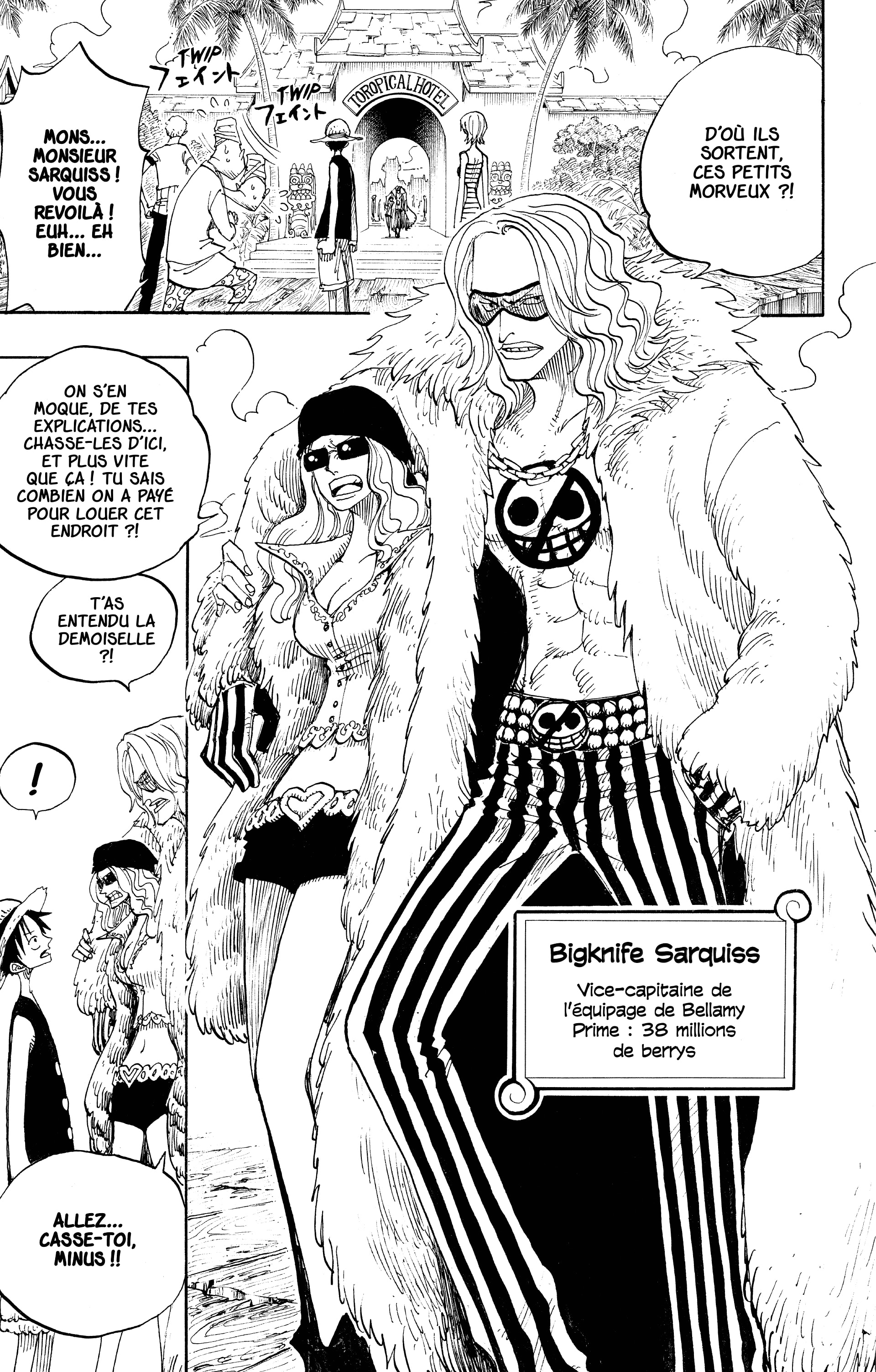 One Piece Chapitre 223 - Page 11