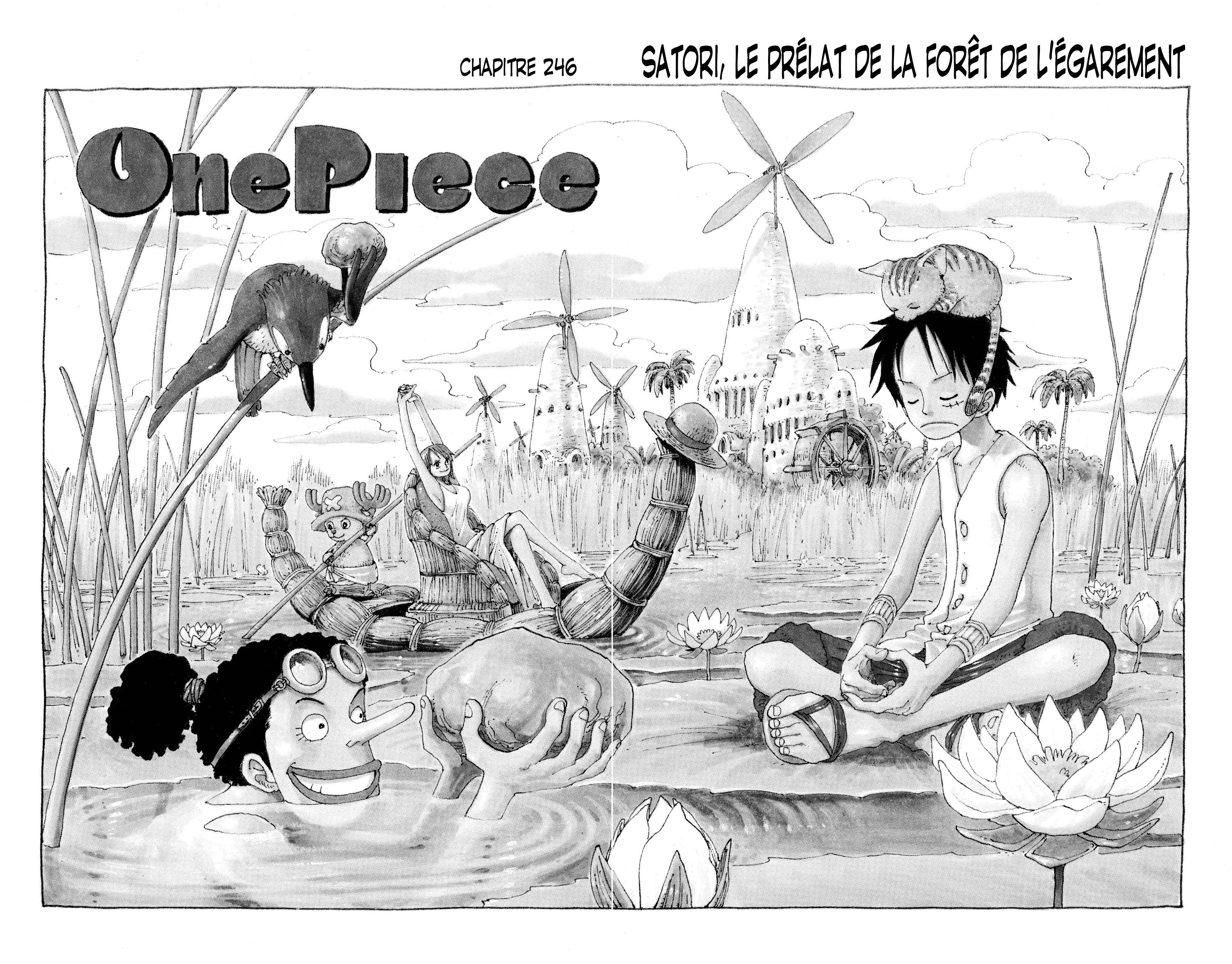 One Piece Chapitre 246 - Page 1