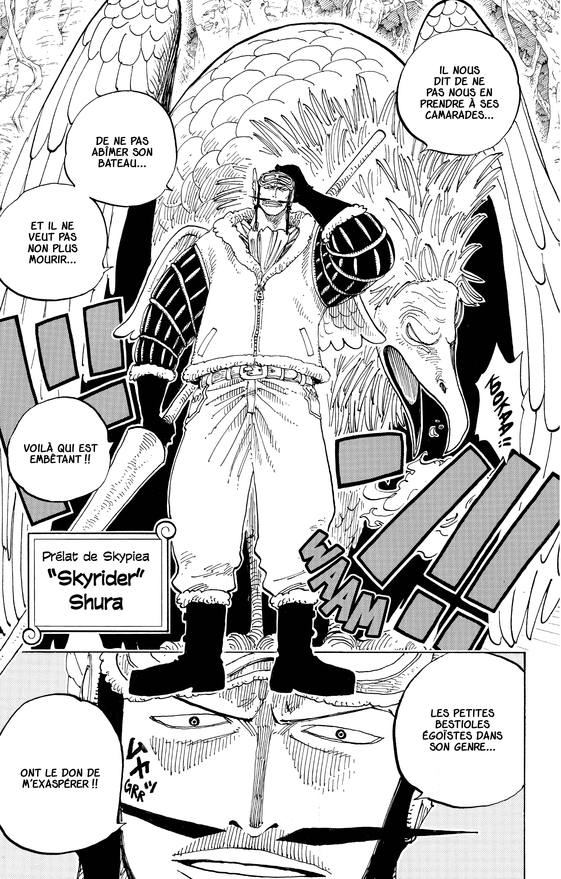 One Piece Chapitre 248 - Page 11