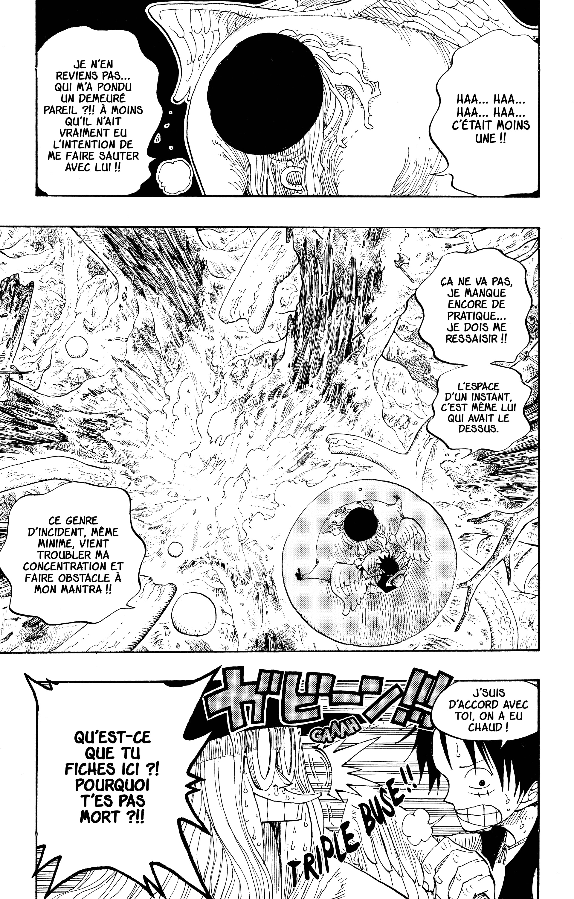 One Piece Chapitre 250 - Page 13