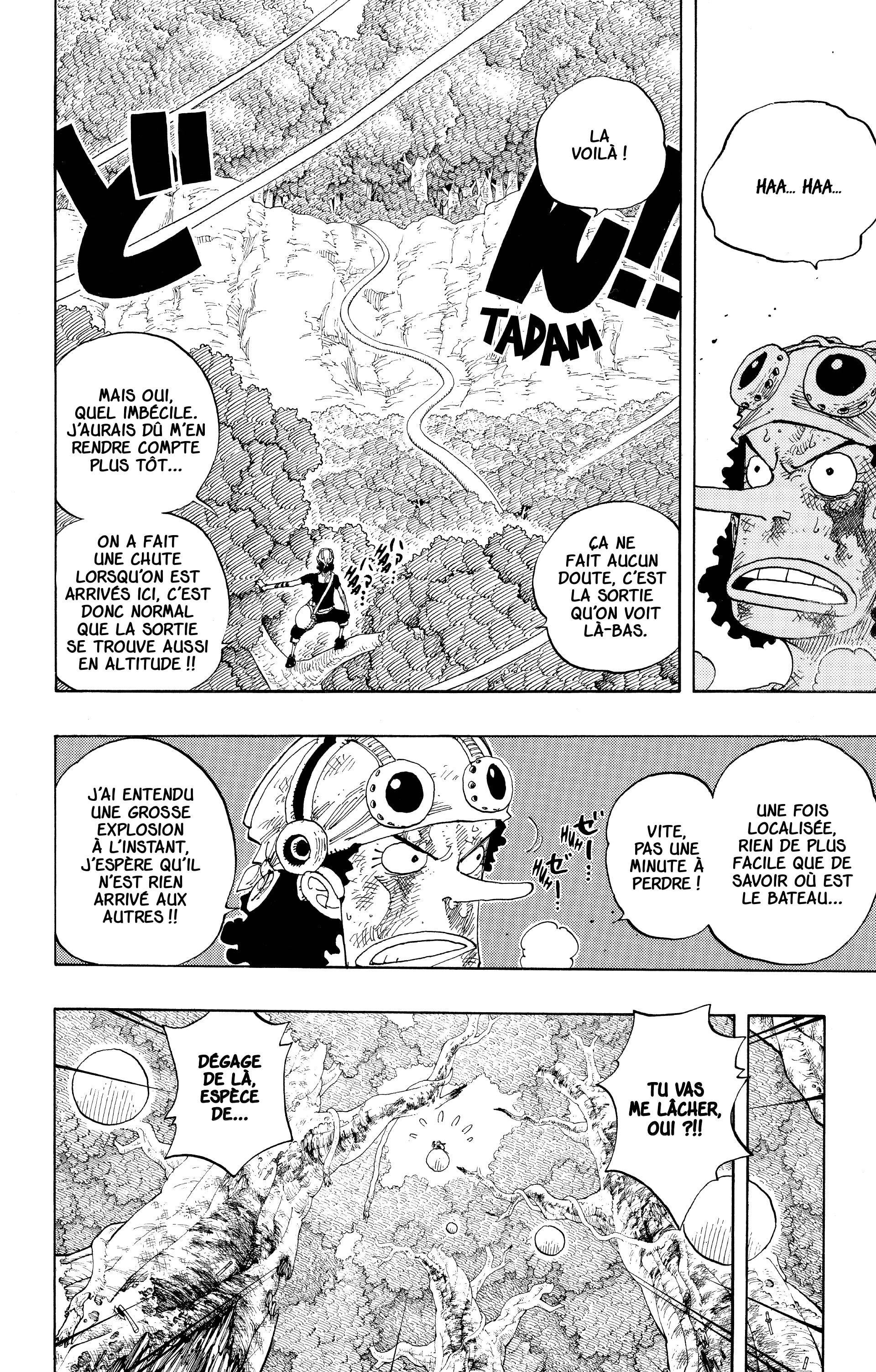 One Piece Chapitre 250 - Page 14