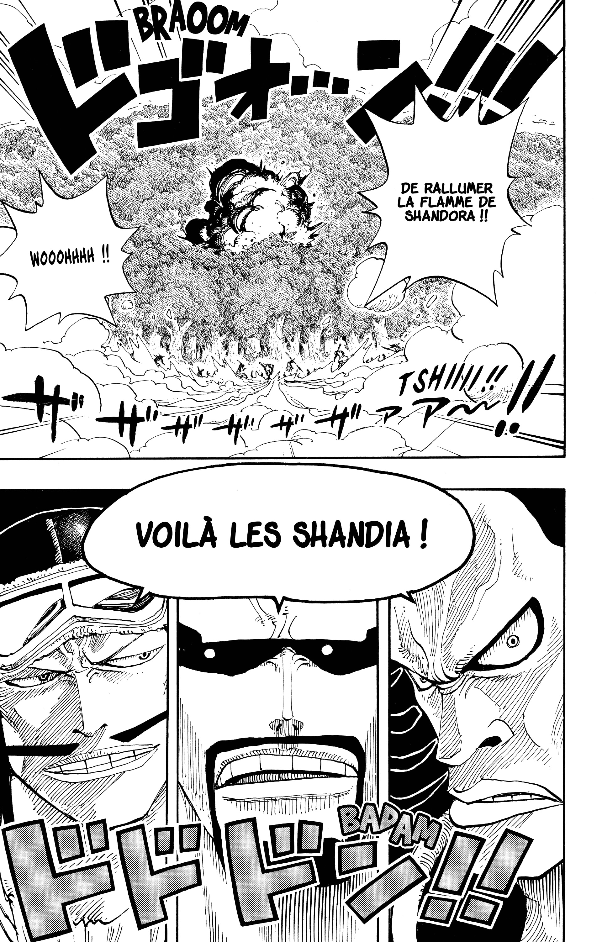 One Piece Chapitre 251 - Page 13
