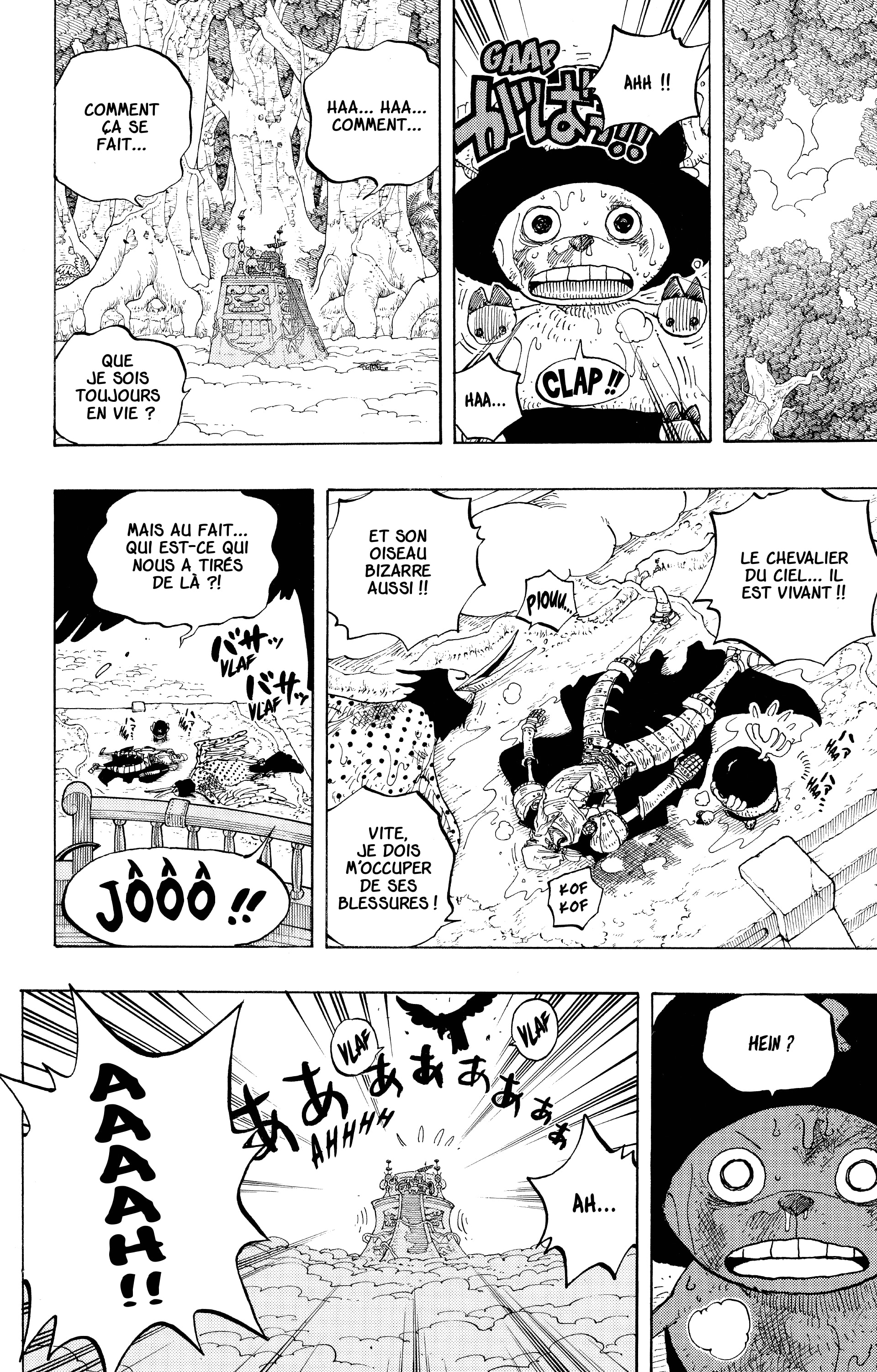 One Piece Chapitre 251 - Page 14