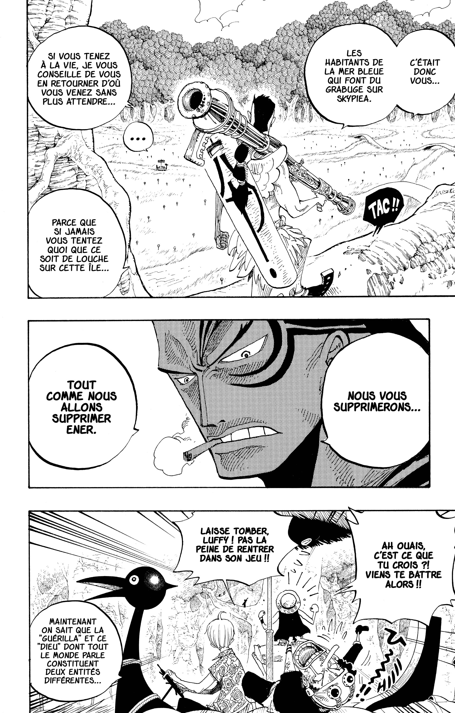One Piece Chapitre 252 - Page 8