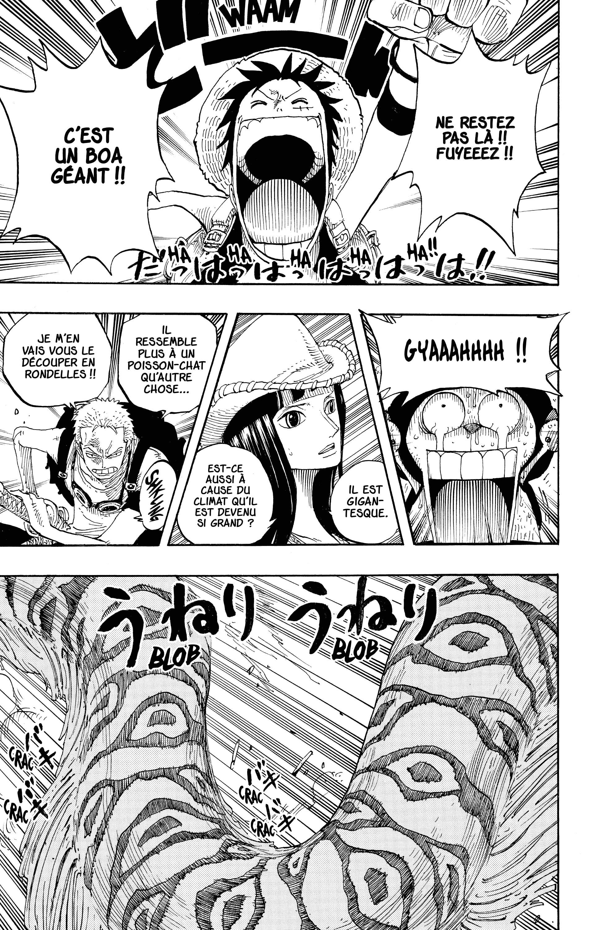 One Piece Chapitre 255 - Page 13