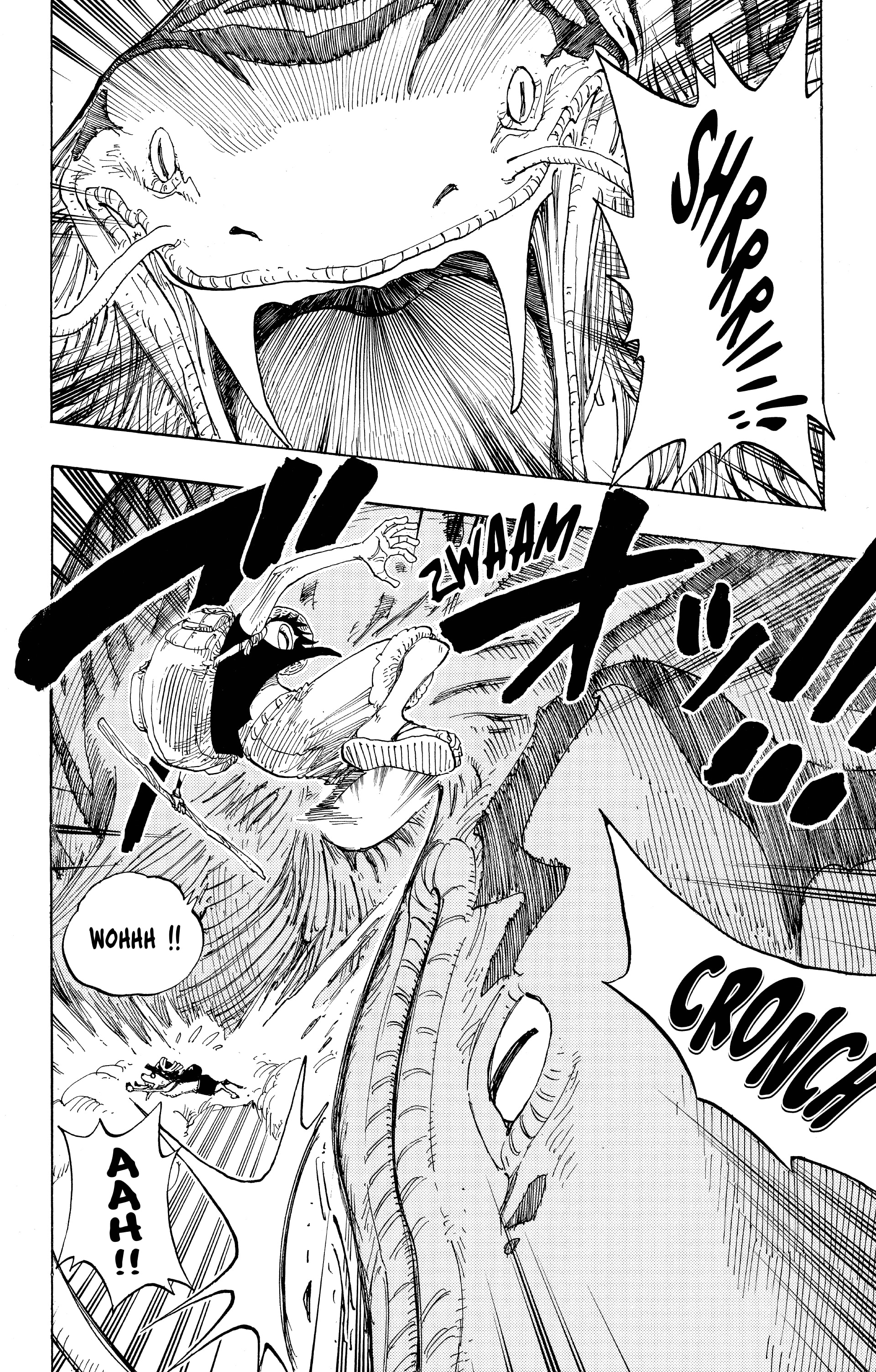 One Piece Chapitre 255 - Page 14