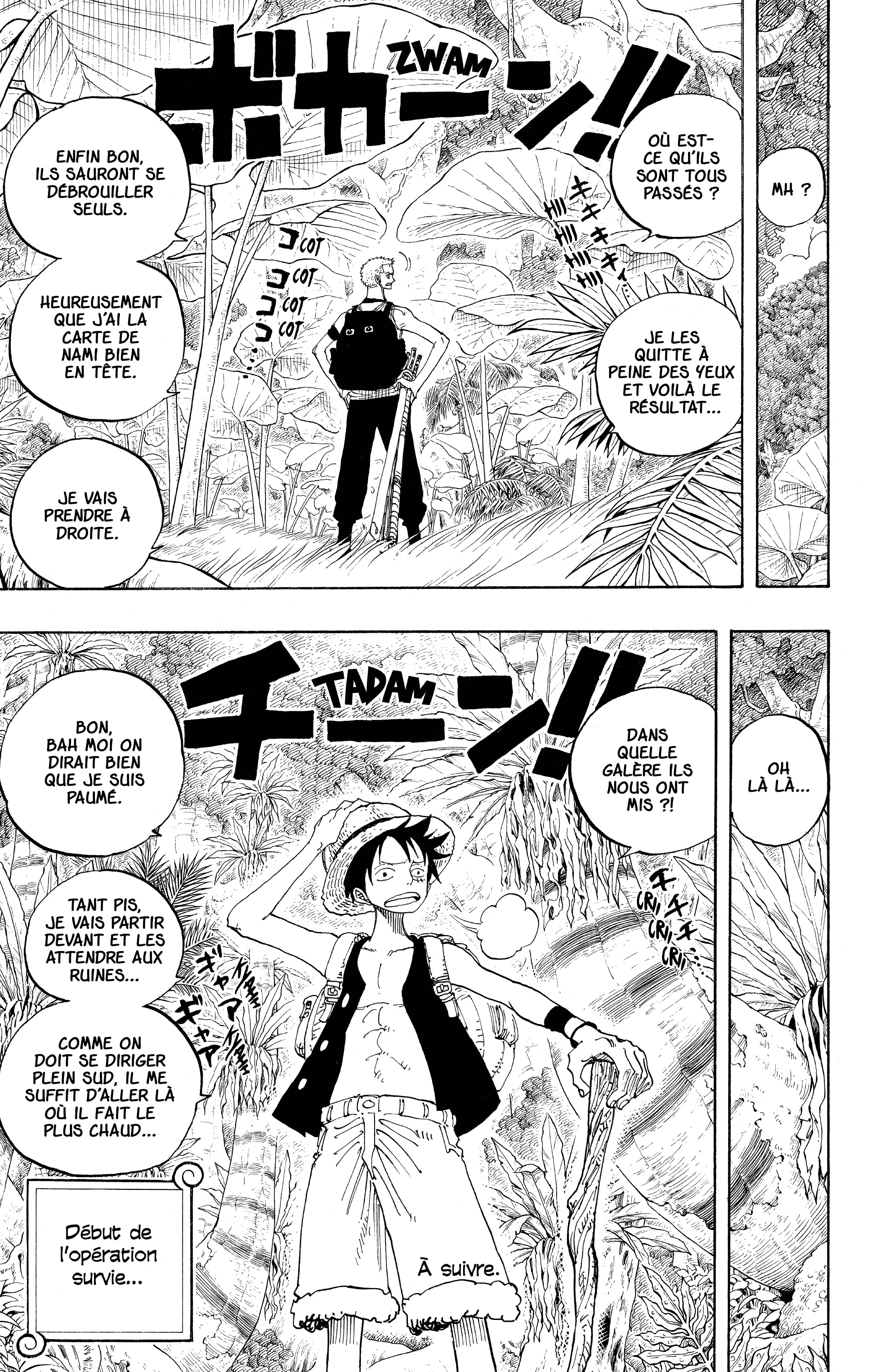 One Piece Chapitre 255 - Page 19