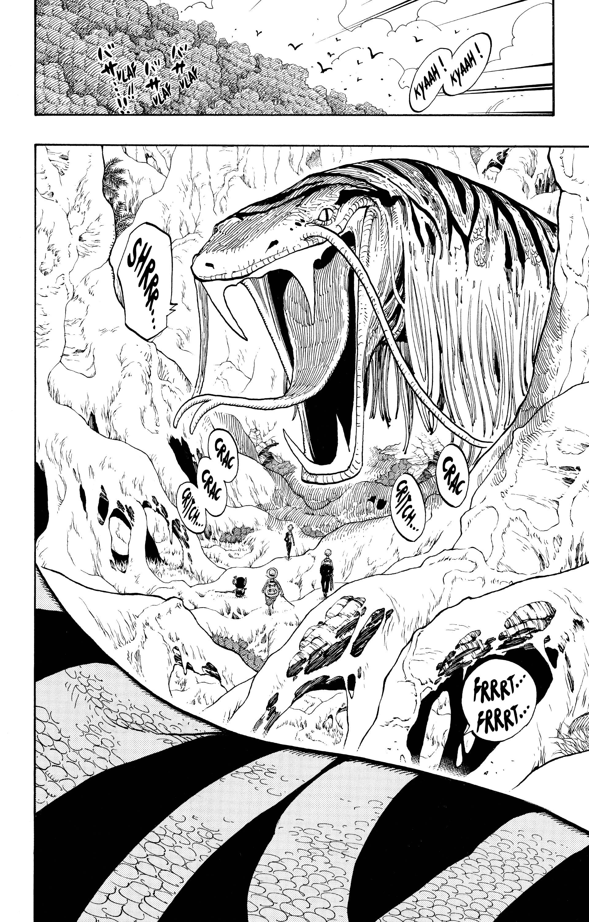 One Piece Chapitre 255 - Page 4