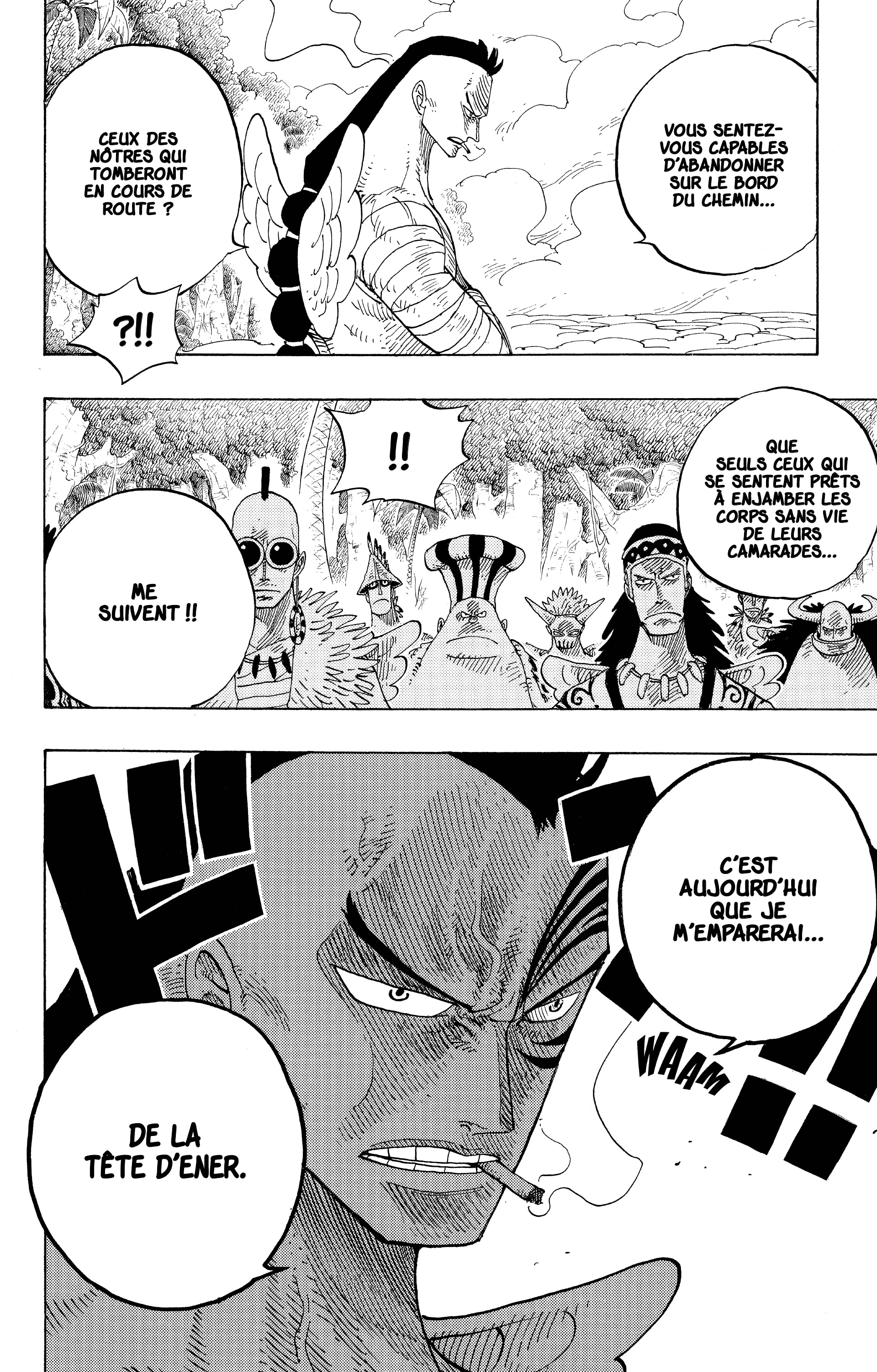 One Piece Chapitre 256 - Page 14
