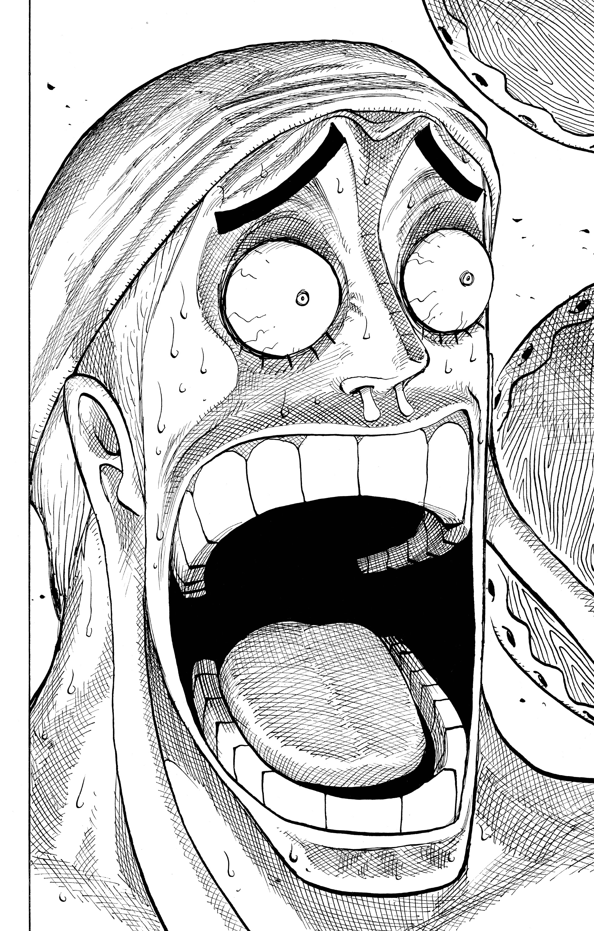 One Piece Chapitre 279 - Page 16