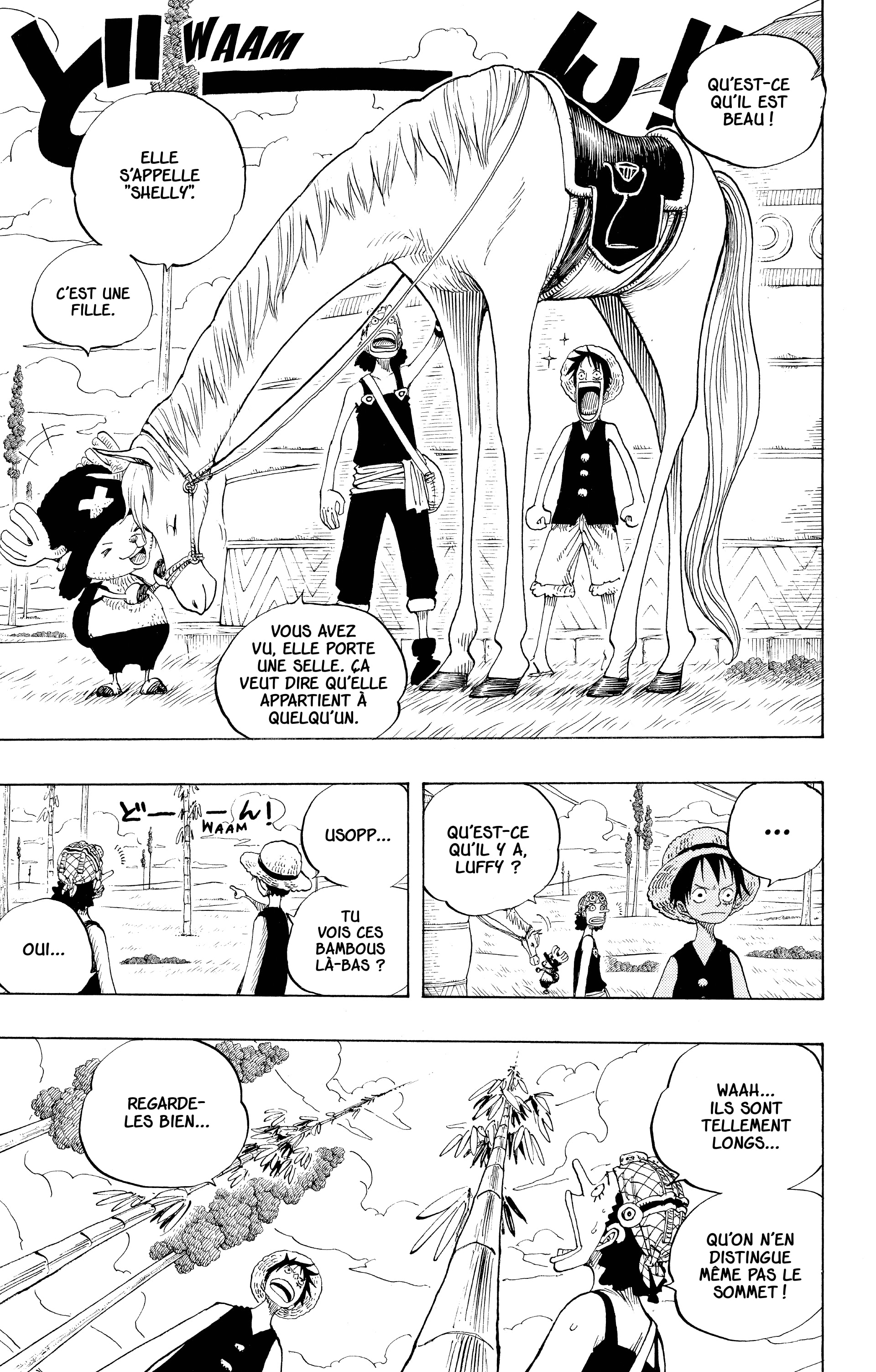 One Piece Chapitre 304 - Page 12