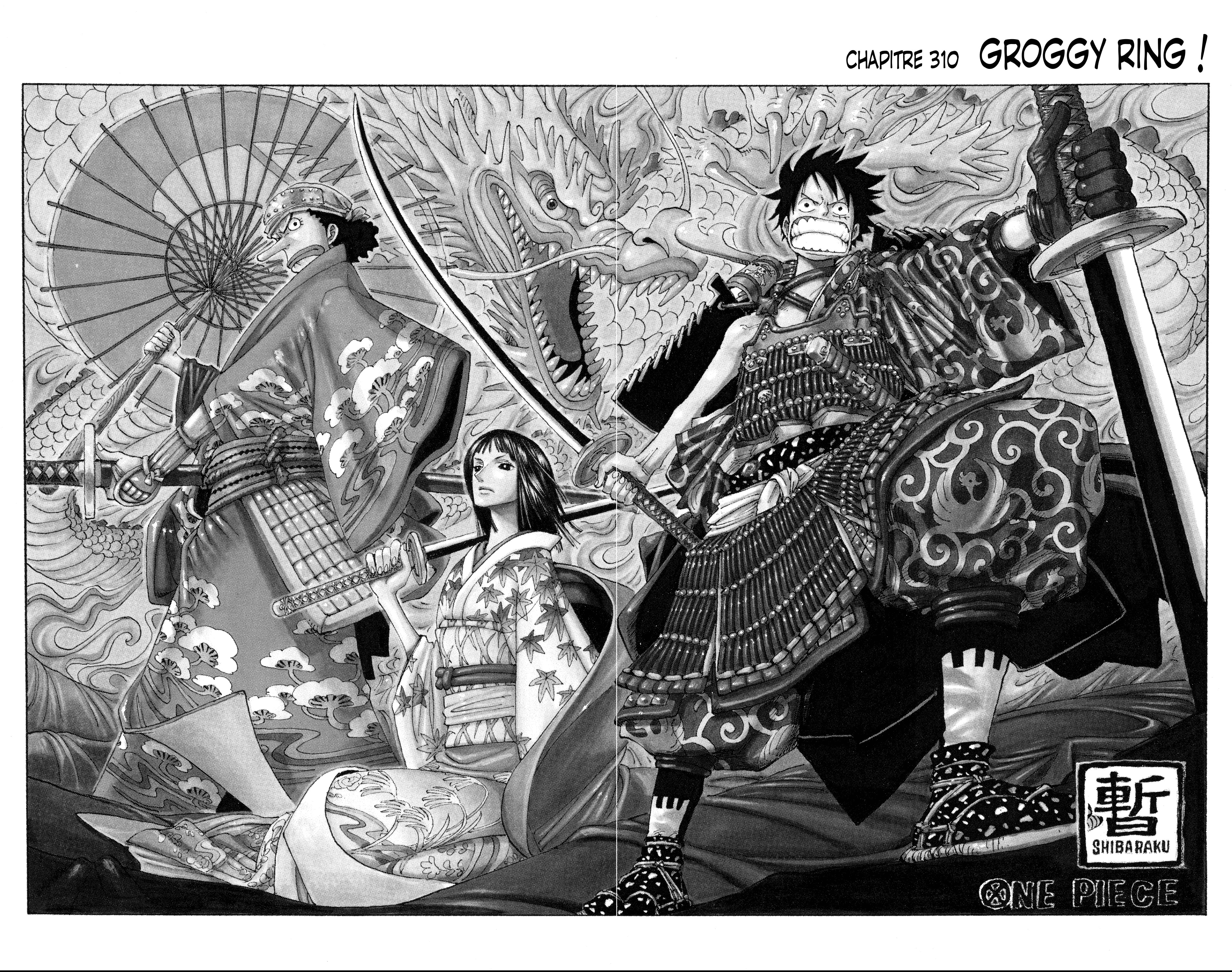 One Piece Chapitre 310 - Page 1