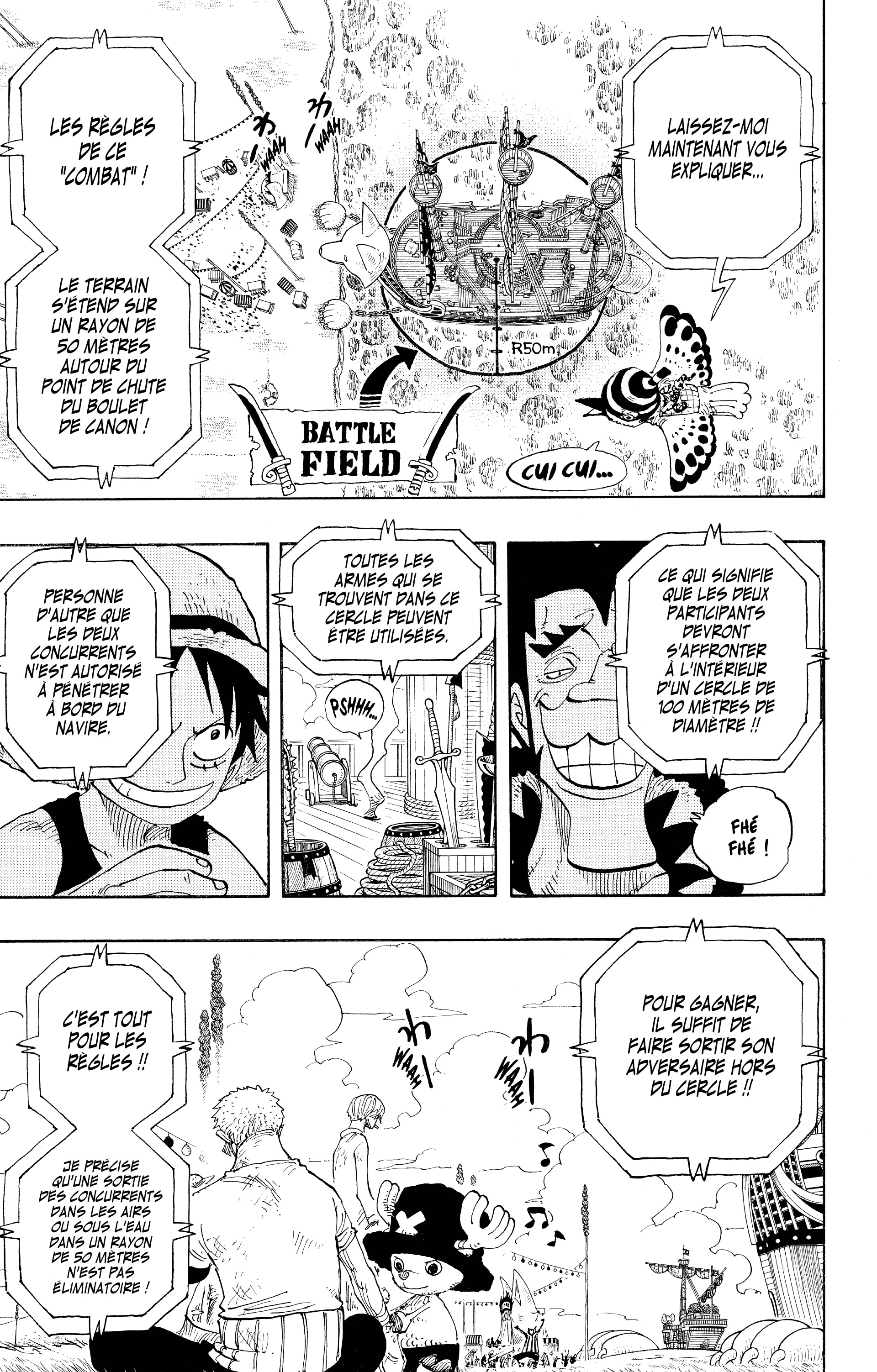 One Piece Chapitre 313 - Page 13