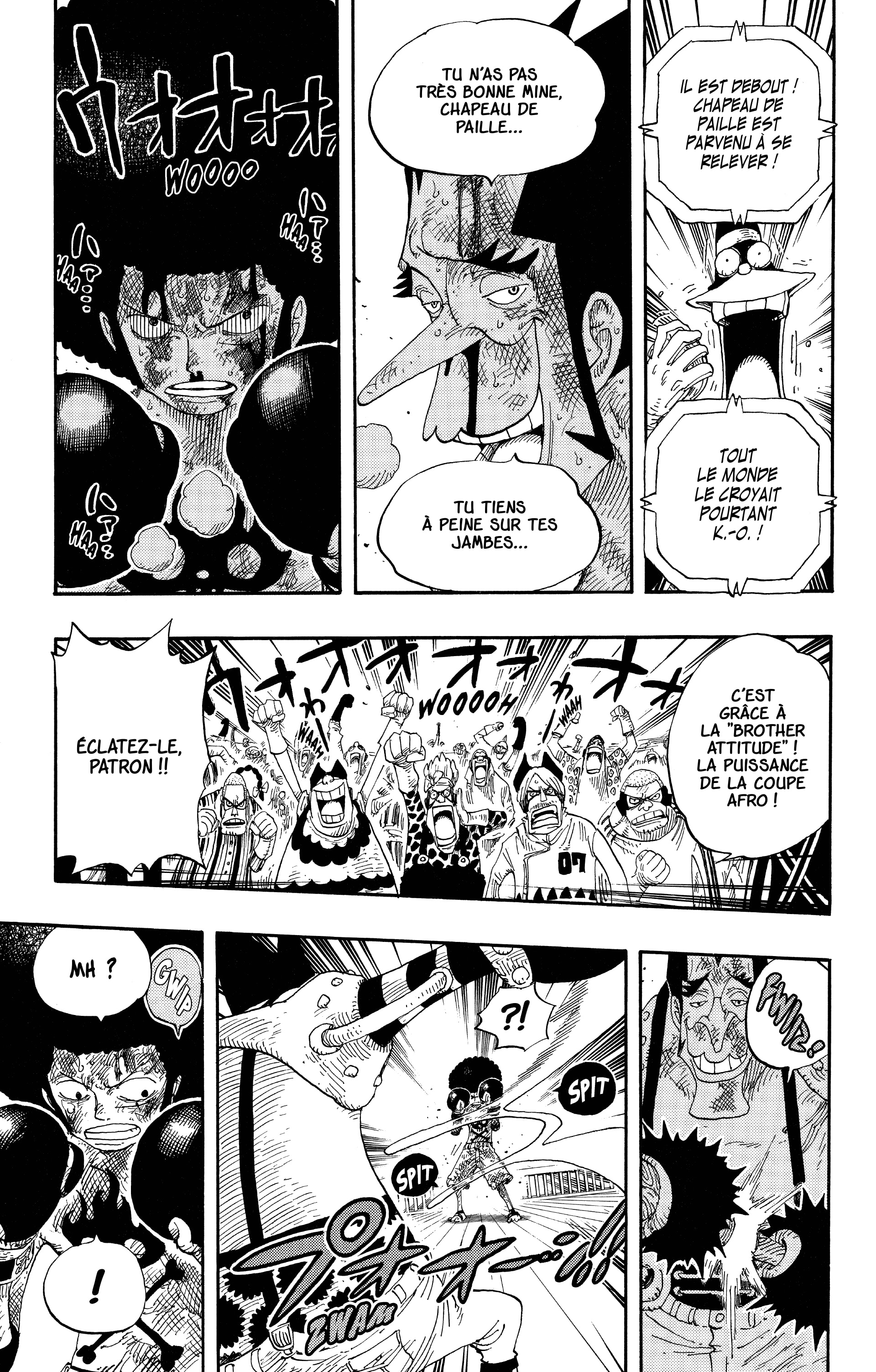 One Piece Chapitre 316 - Page 15