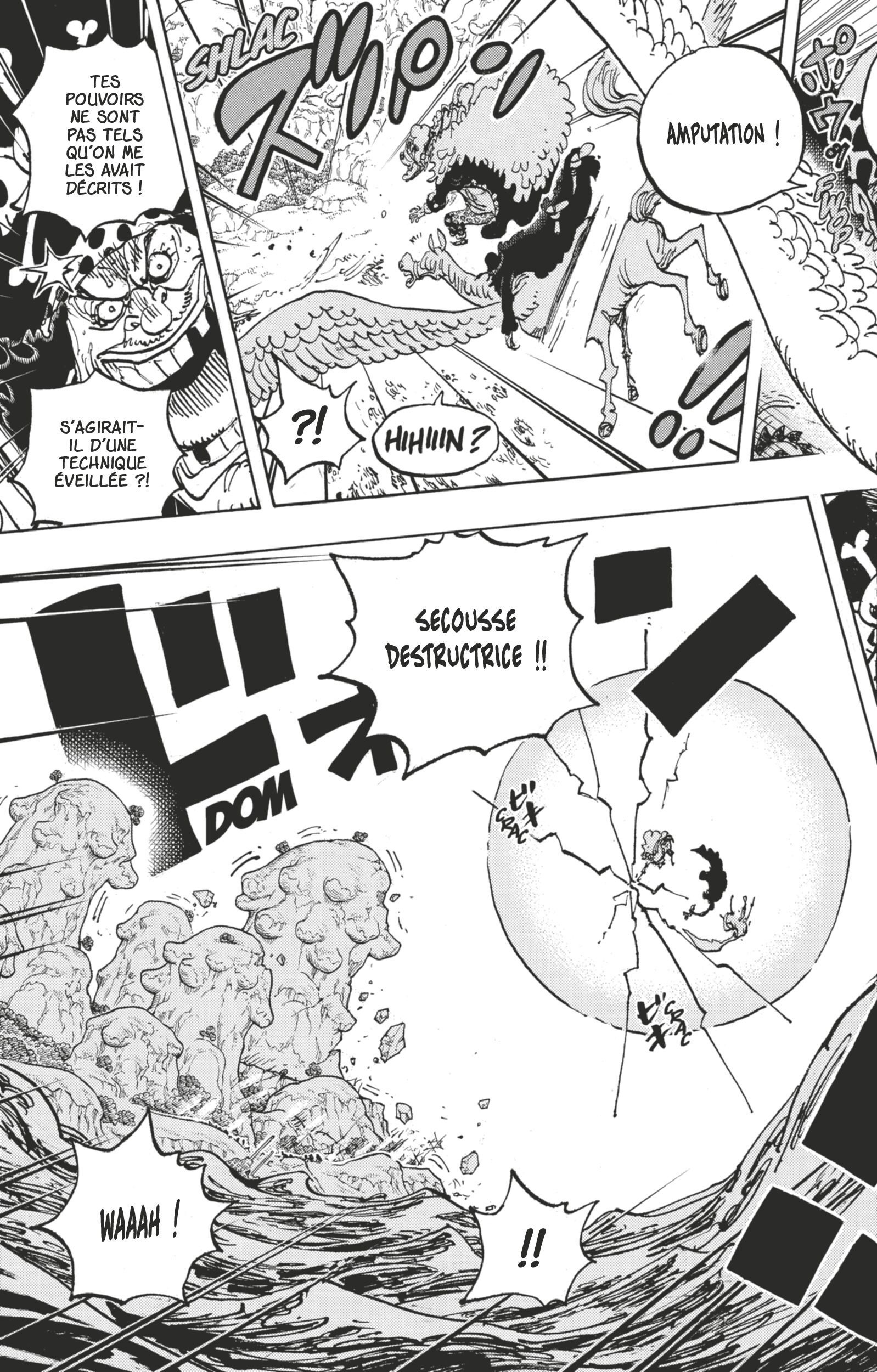 One Piece Chapitre 1064 - Page 3