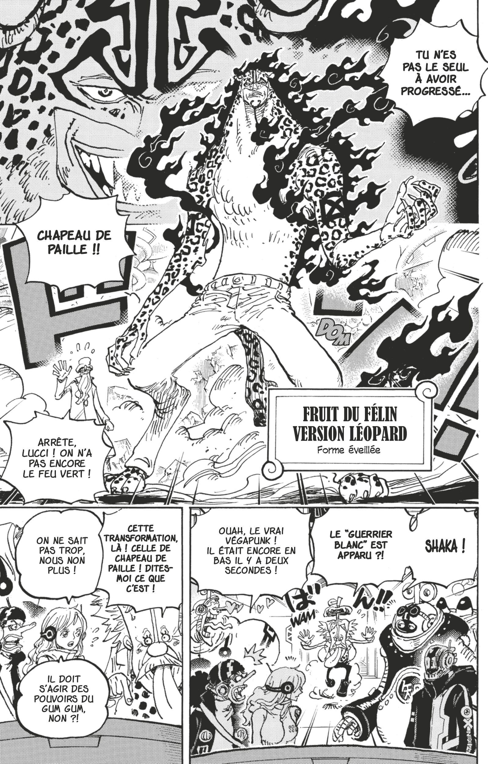 One Piece Chapitre 1069 - Page 7