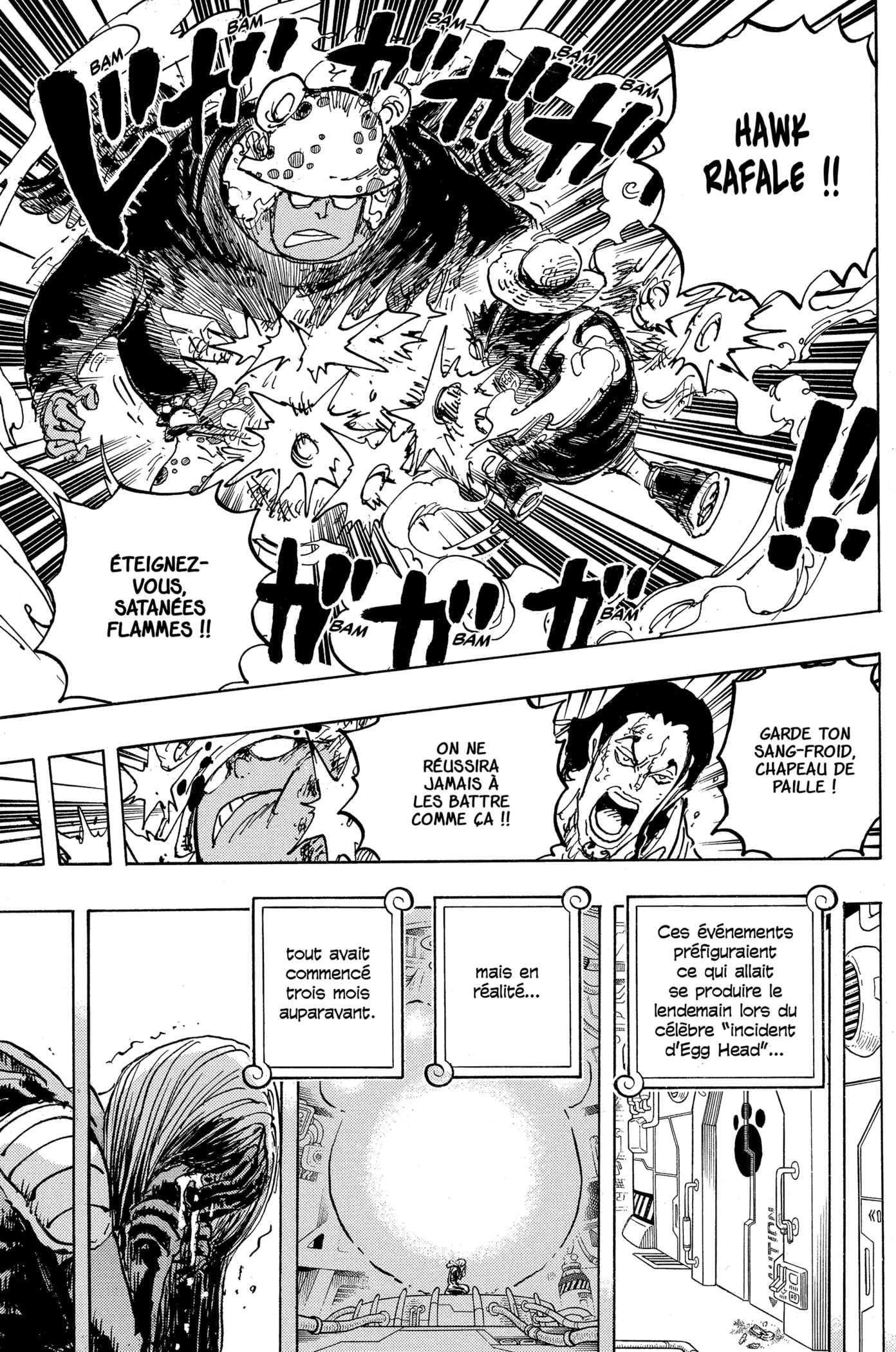 One Piece Chapitre 1078 - Page 9