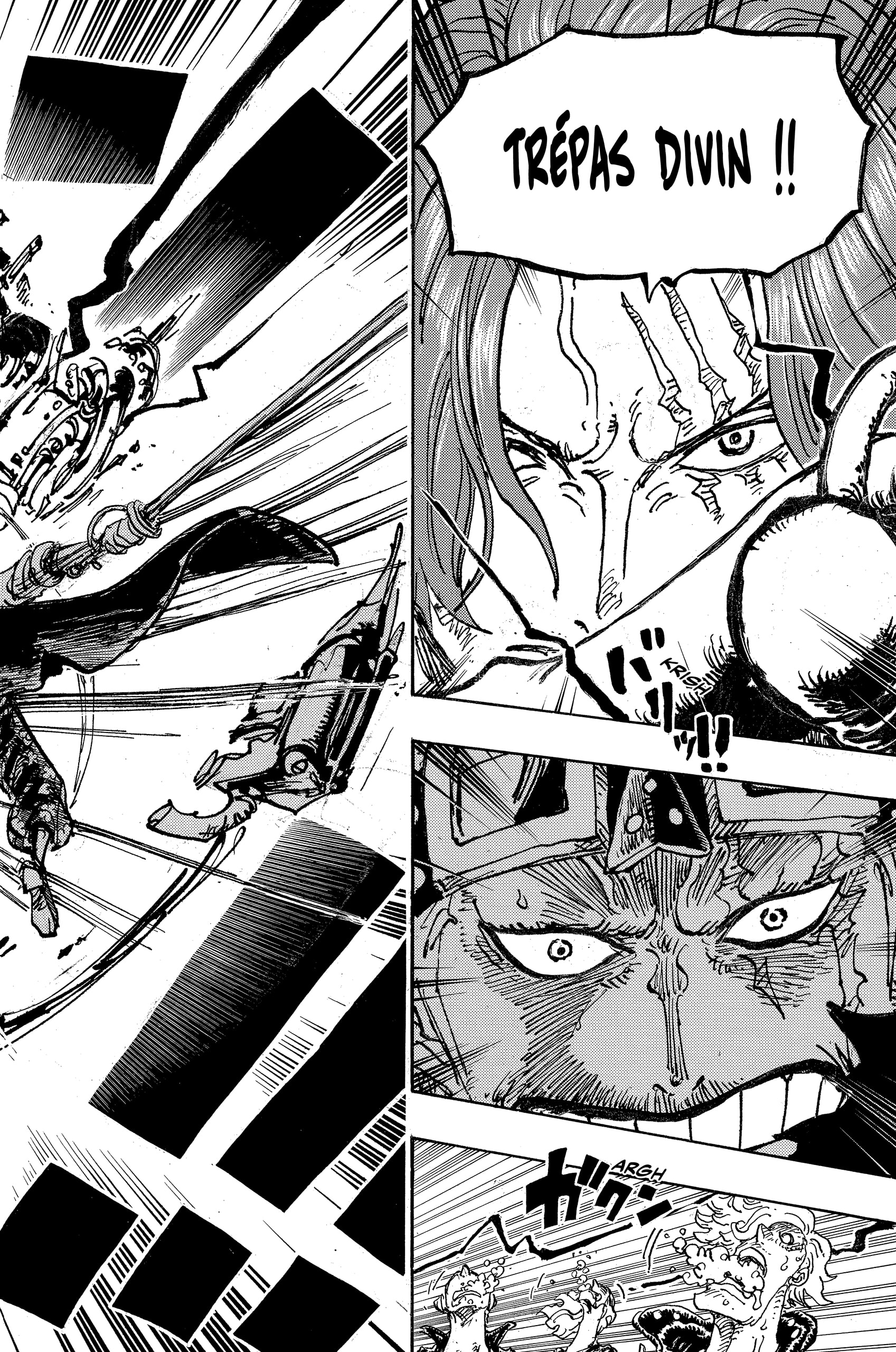 One Piece Chapitre 1079 - Page 10
