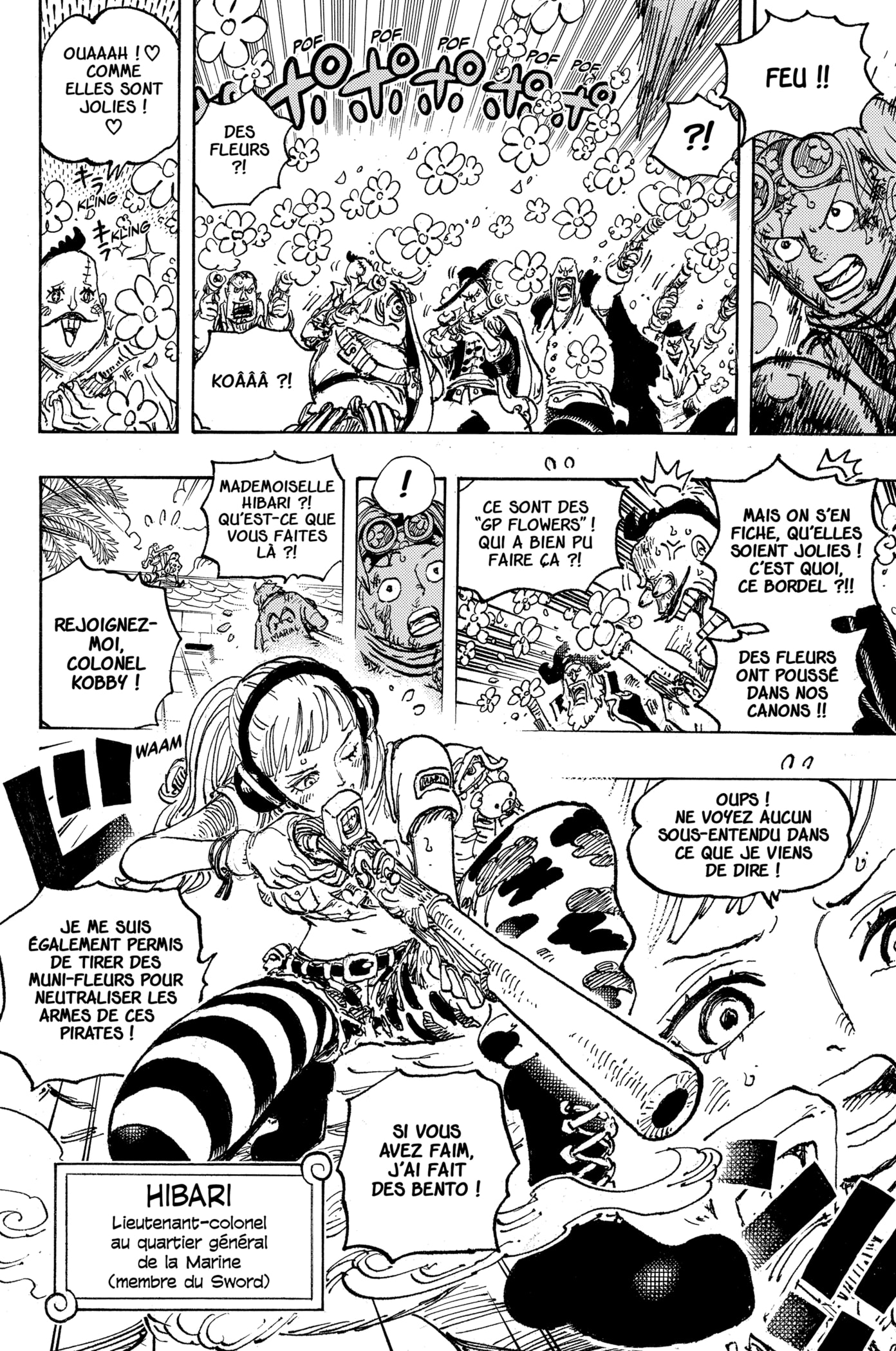 One Piece Chapitre 1080 - Page 12