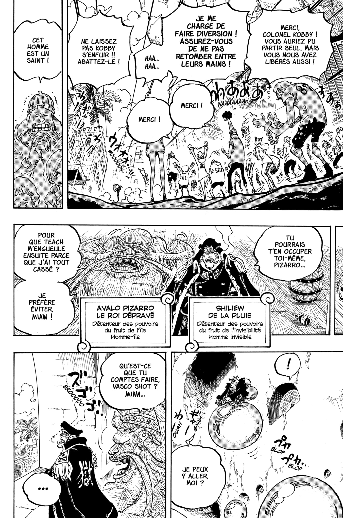 One Piece Chapitre 1080 - Page 4
