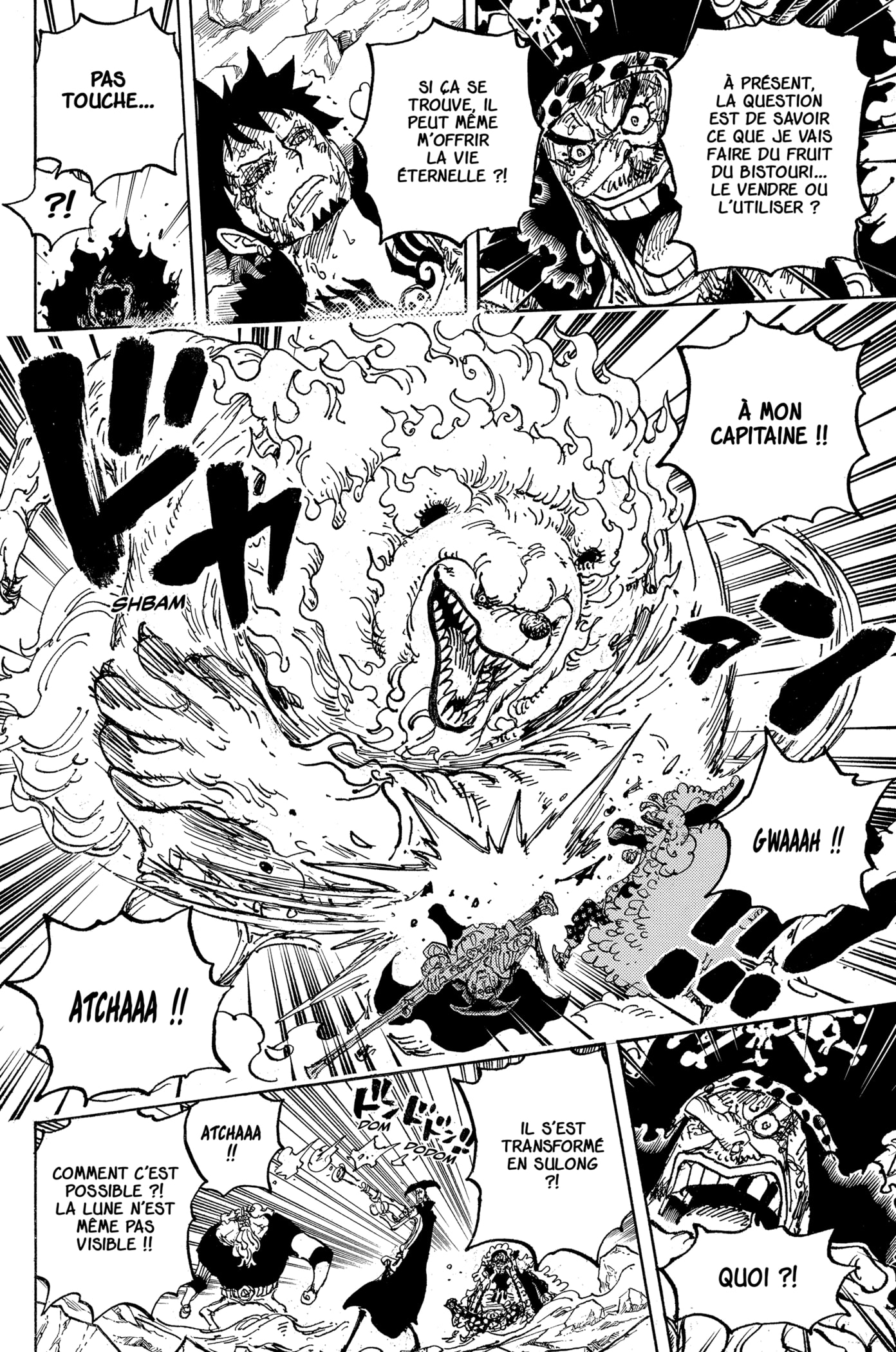 One Piece Chapitre 1081 - Page 19