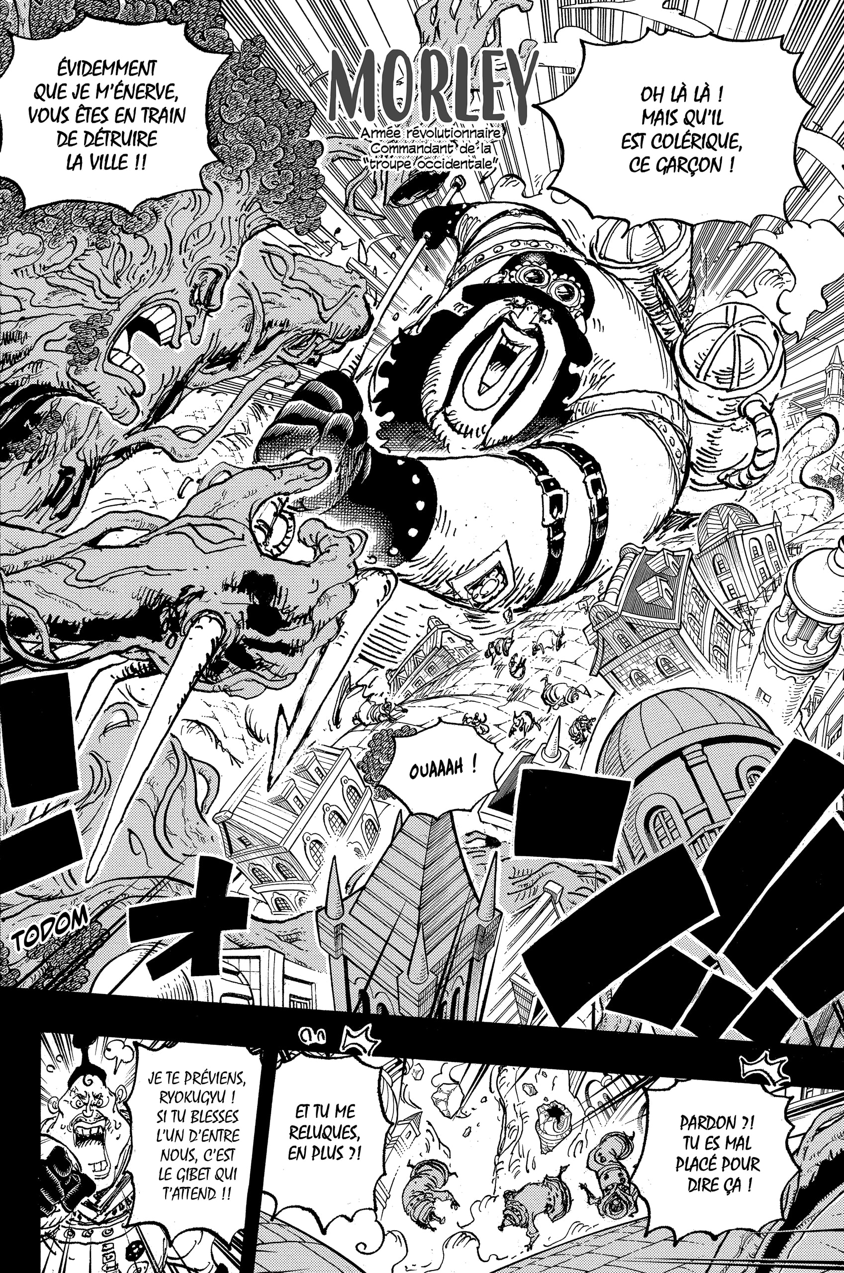 One Piece Chapitre 1083 - Page 12