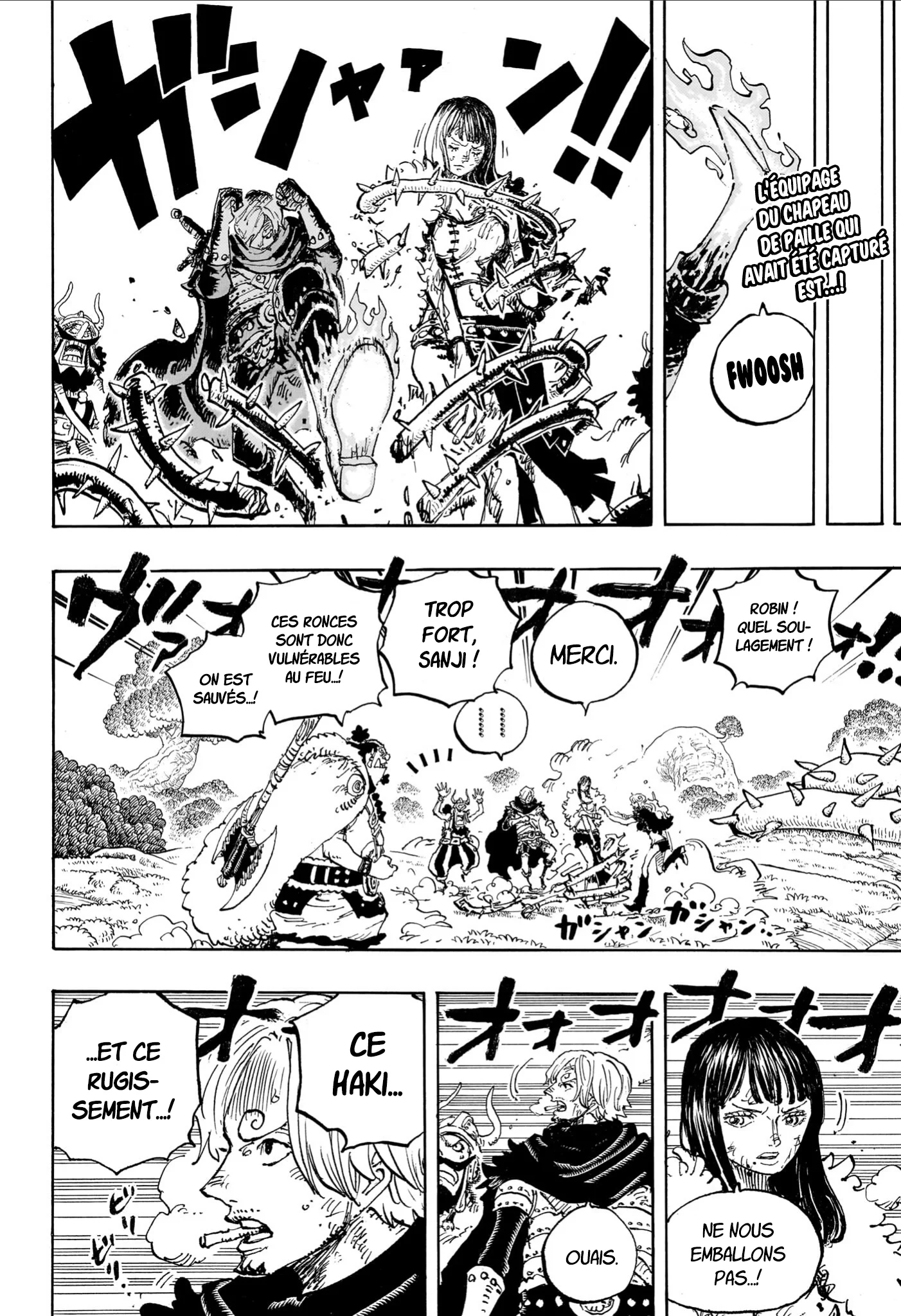 One Piece Chapitre 1175 - Page 3