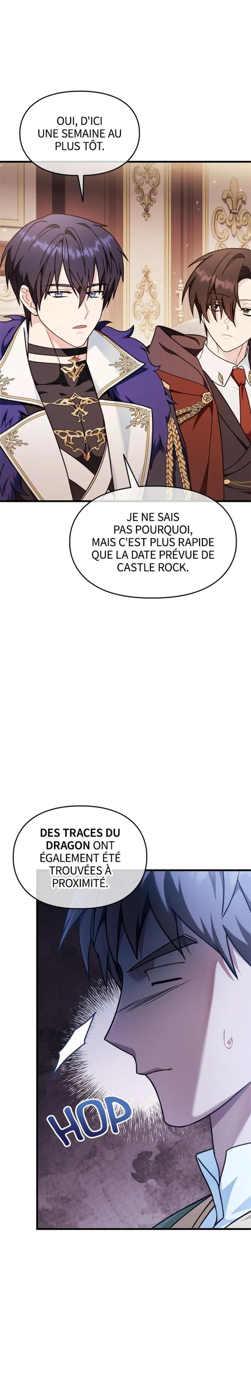 Regressor Instruction Manual Chapitre 78 - Page 4