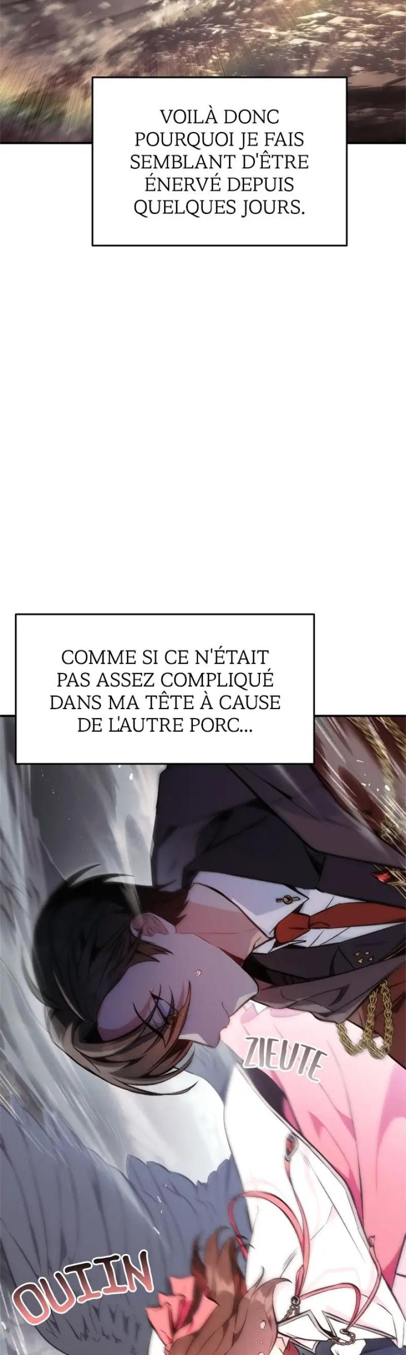 Regressor Instruction Manual Chapitre 90 - Page 17
