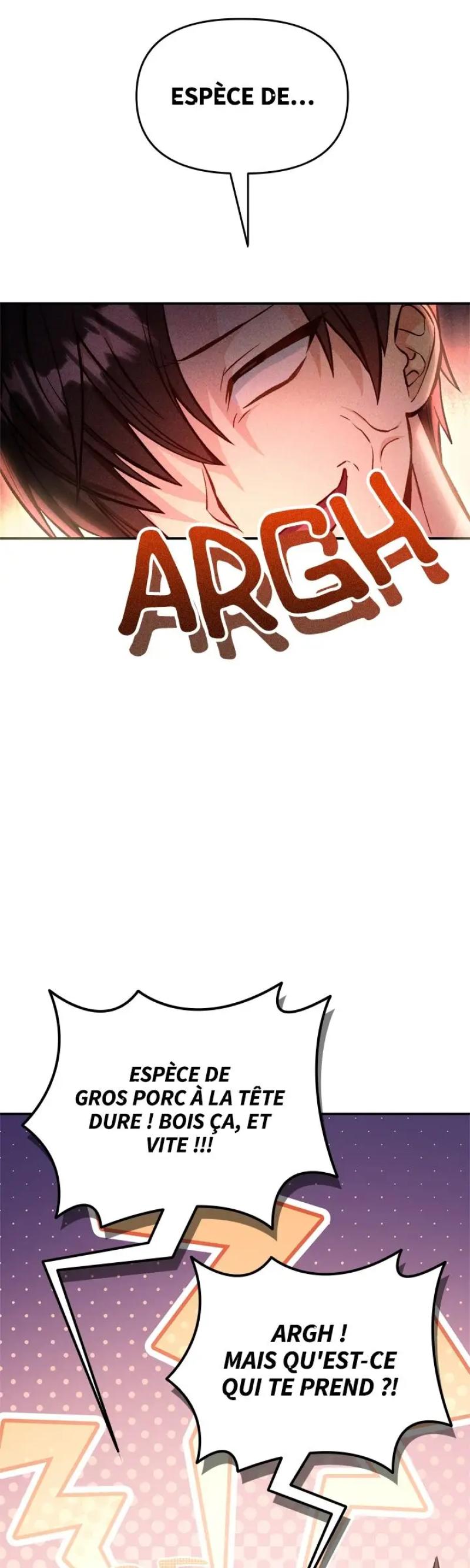 Regressor Instruction Manual Chapitre 91 - Page 55