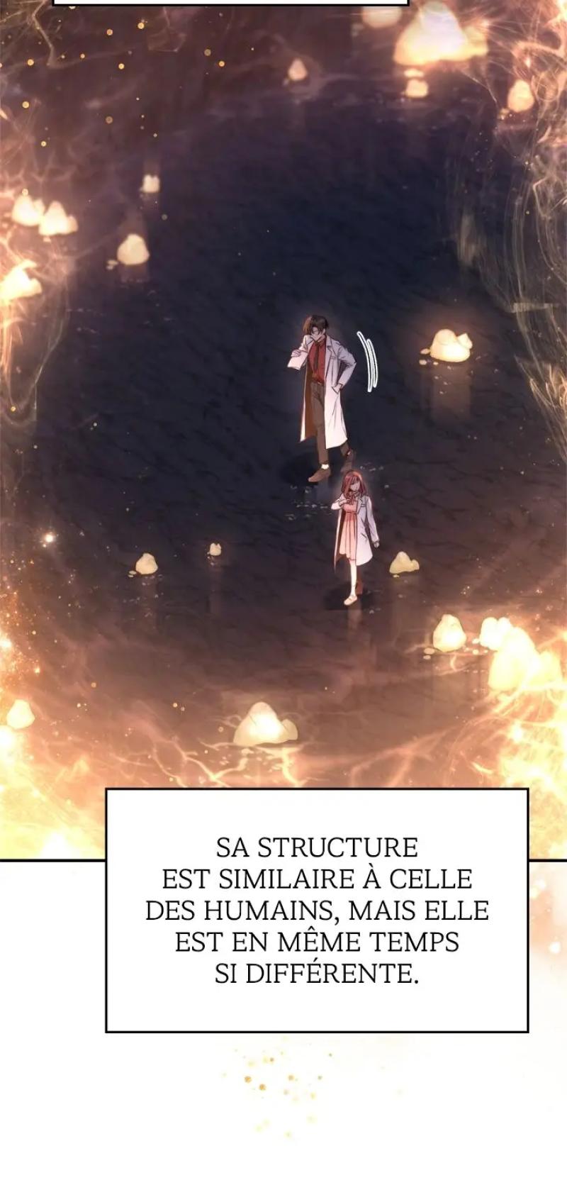Regressor Instruction Manual Chapitre 91 - Page 6