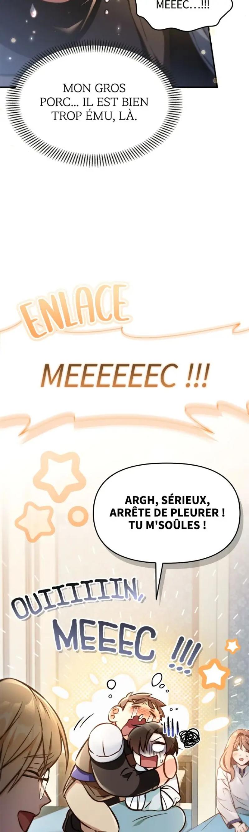 Regressor Instruction Manual Chapitre 95 - Page 13