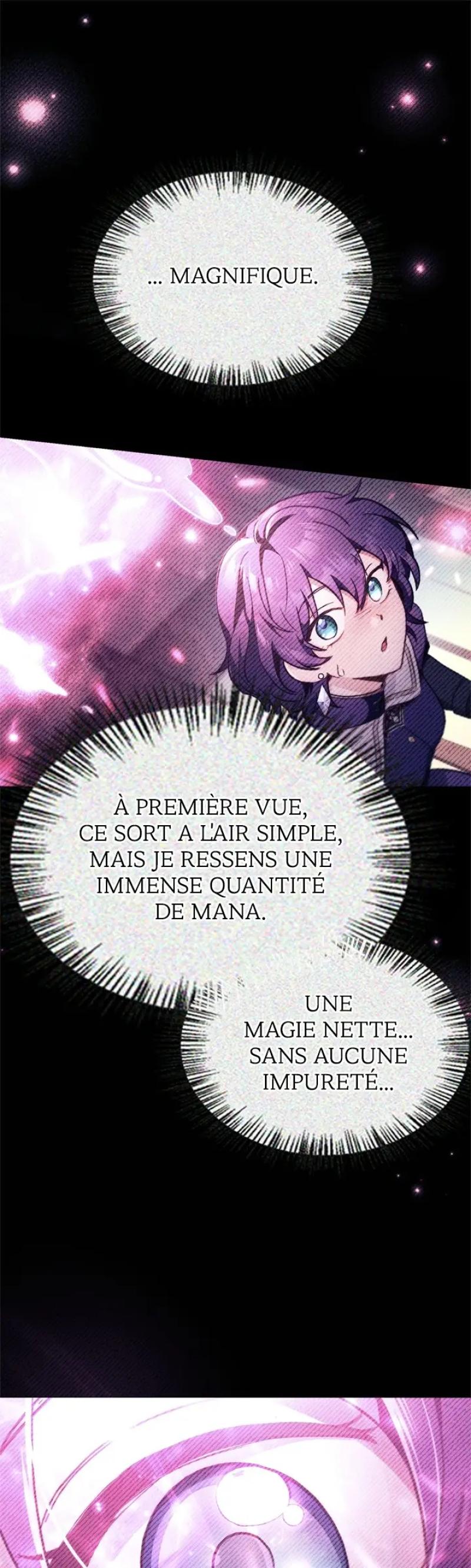 Regressor Instruction Manual Chapitre 97 - Page 6