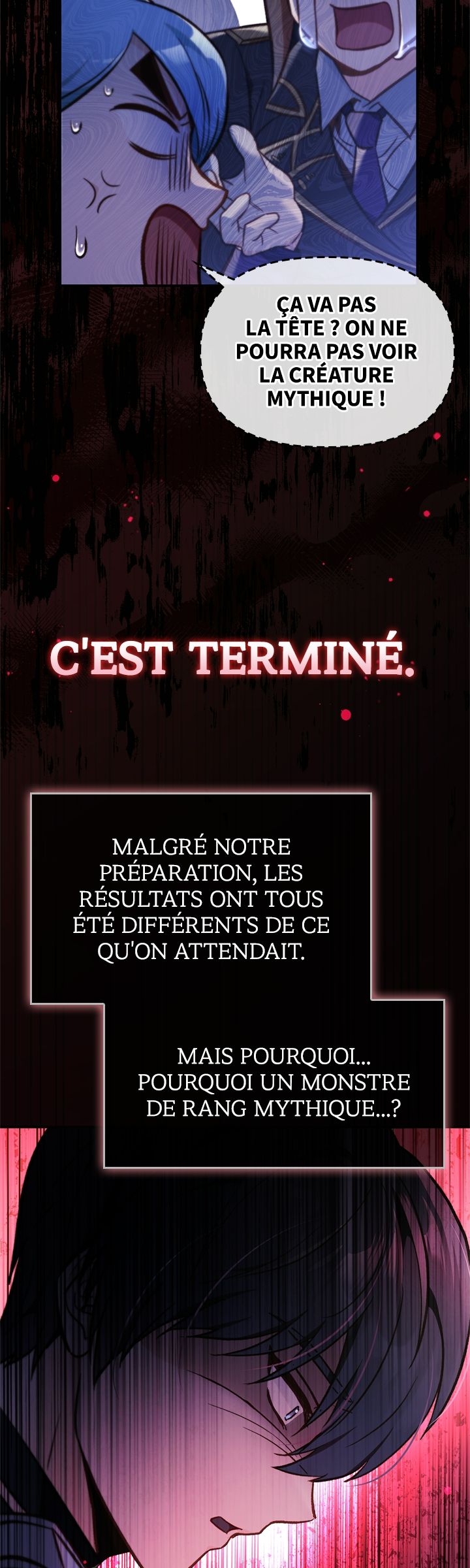 Regressor Instruction Manual Chapitre 102 - Page 21