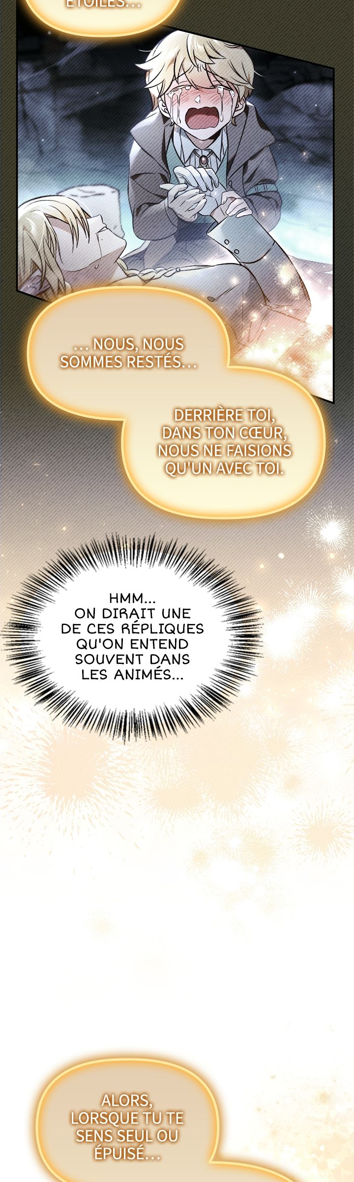 Regressor Instruction Manual Chapitre 104 - Page 46