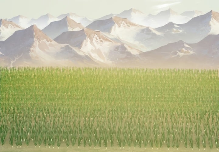 Solo Farming In The Tower Chapitre 80 - Page 68
