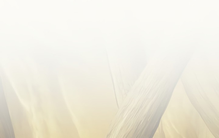 Solo Farming In The Tower Chapitre 83 - Page 35