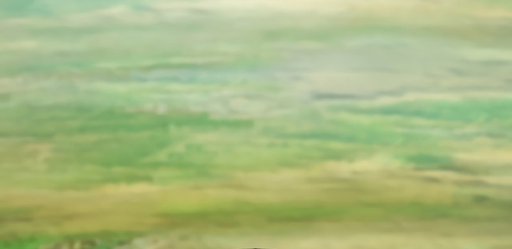 Solo Farming In The Tower Chapitre 87 - Page 7