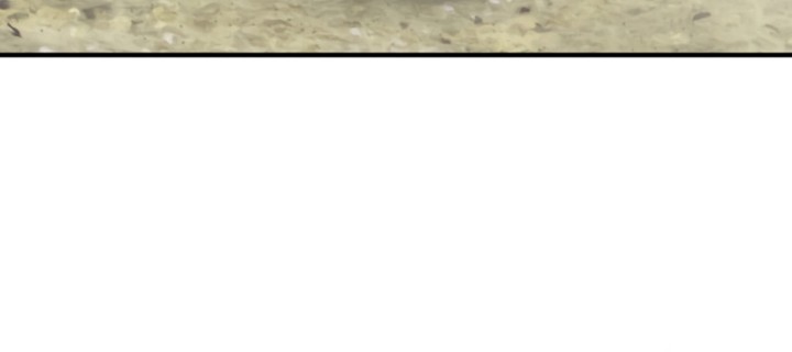 Solo Farming In The Tower Chapitre 89 - Page 245