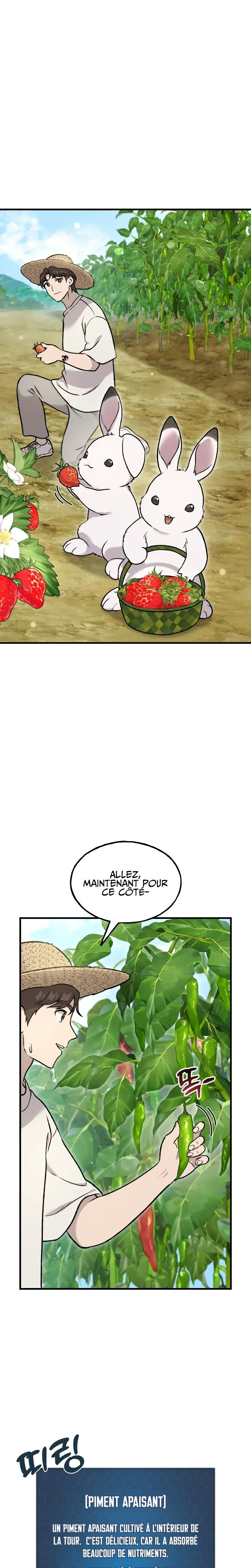 Solo Farming In The Tower Chapitre 107 - Page 2