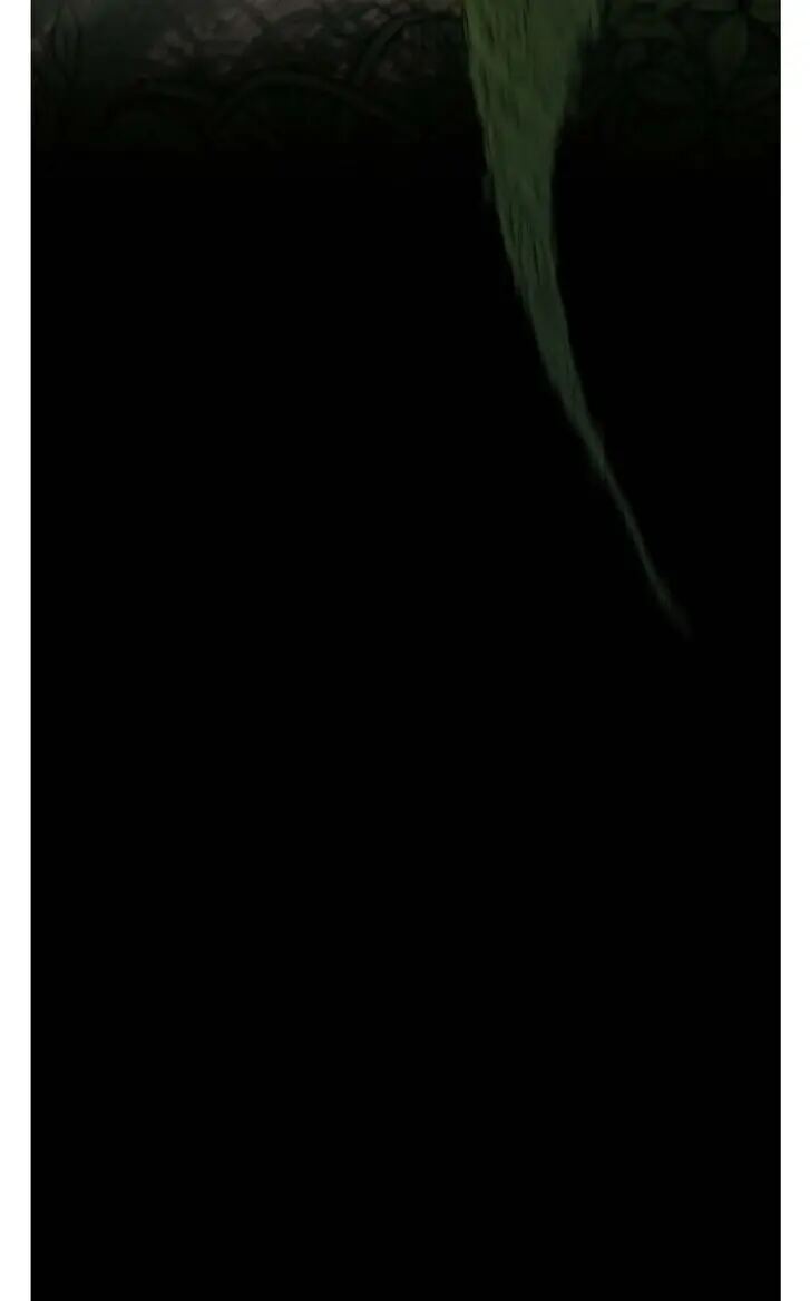 The Beginning After the End Chapitre 66 - Page 64