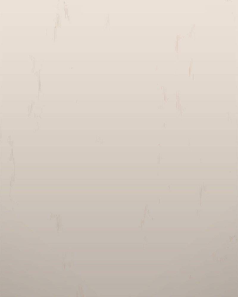 The Boxer Chapitre 12 - Page 67